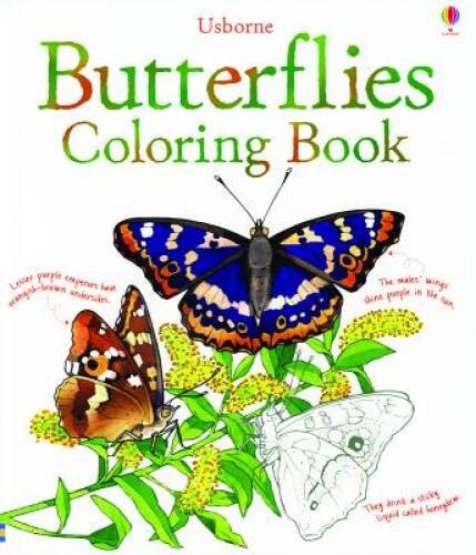 Butterflies Coloring Book (Coloring Books) – Paperback – VERY GOOD