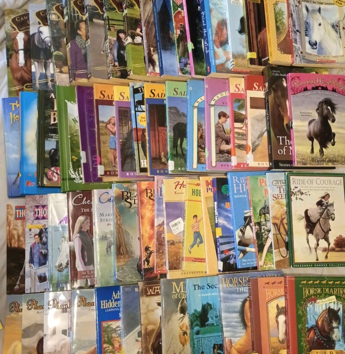Lot 60+ Vintage to Now Children&rsquo;s Chapter Books On Horses Saddle Club More Read