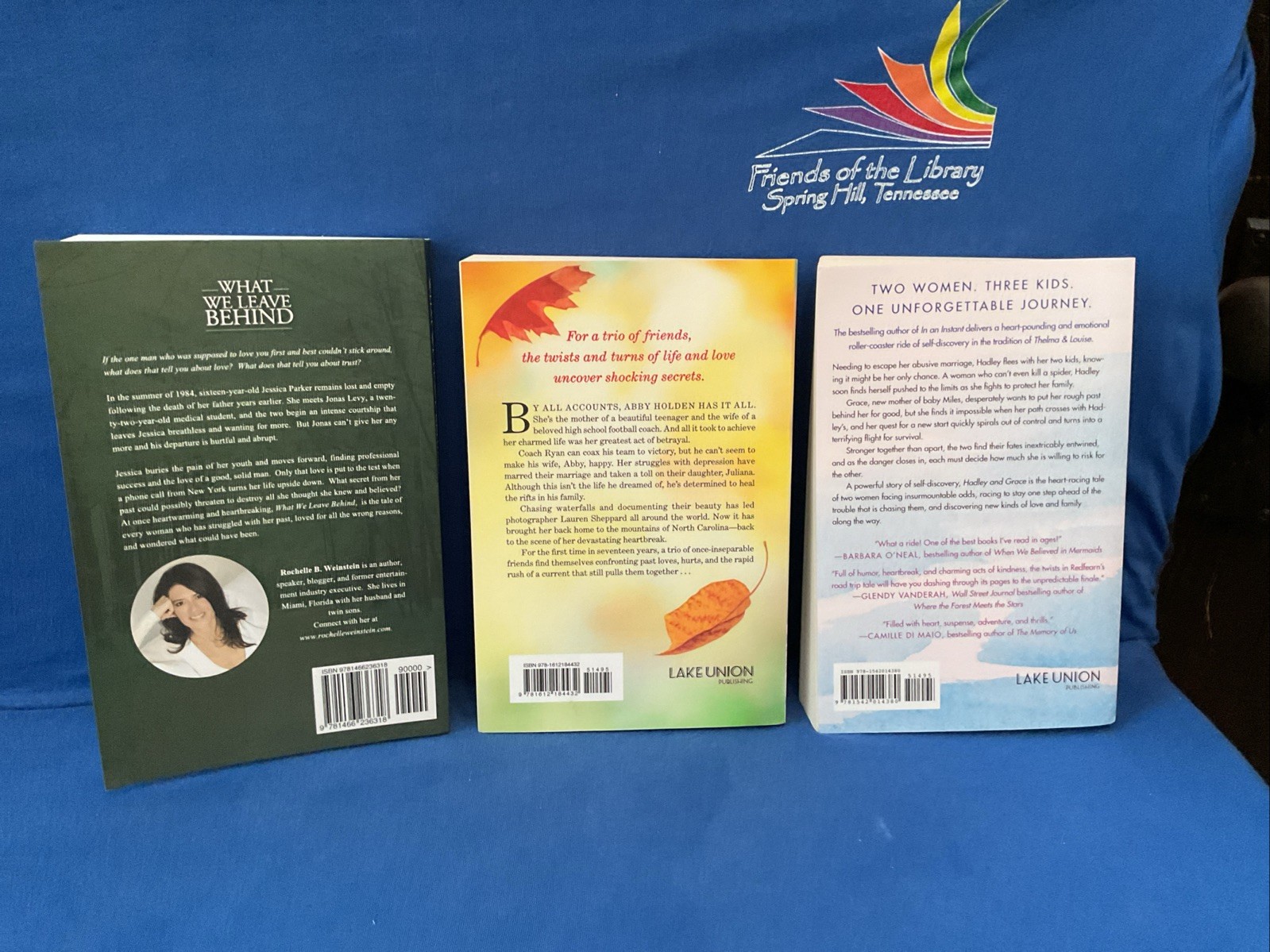 Lot of 11 – Women&rsquo;s Contemporary Topics, By Jodi Picoult & Others, PB
