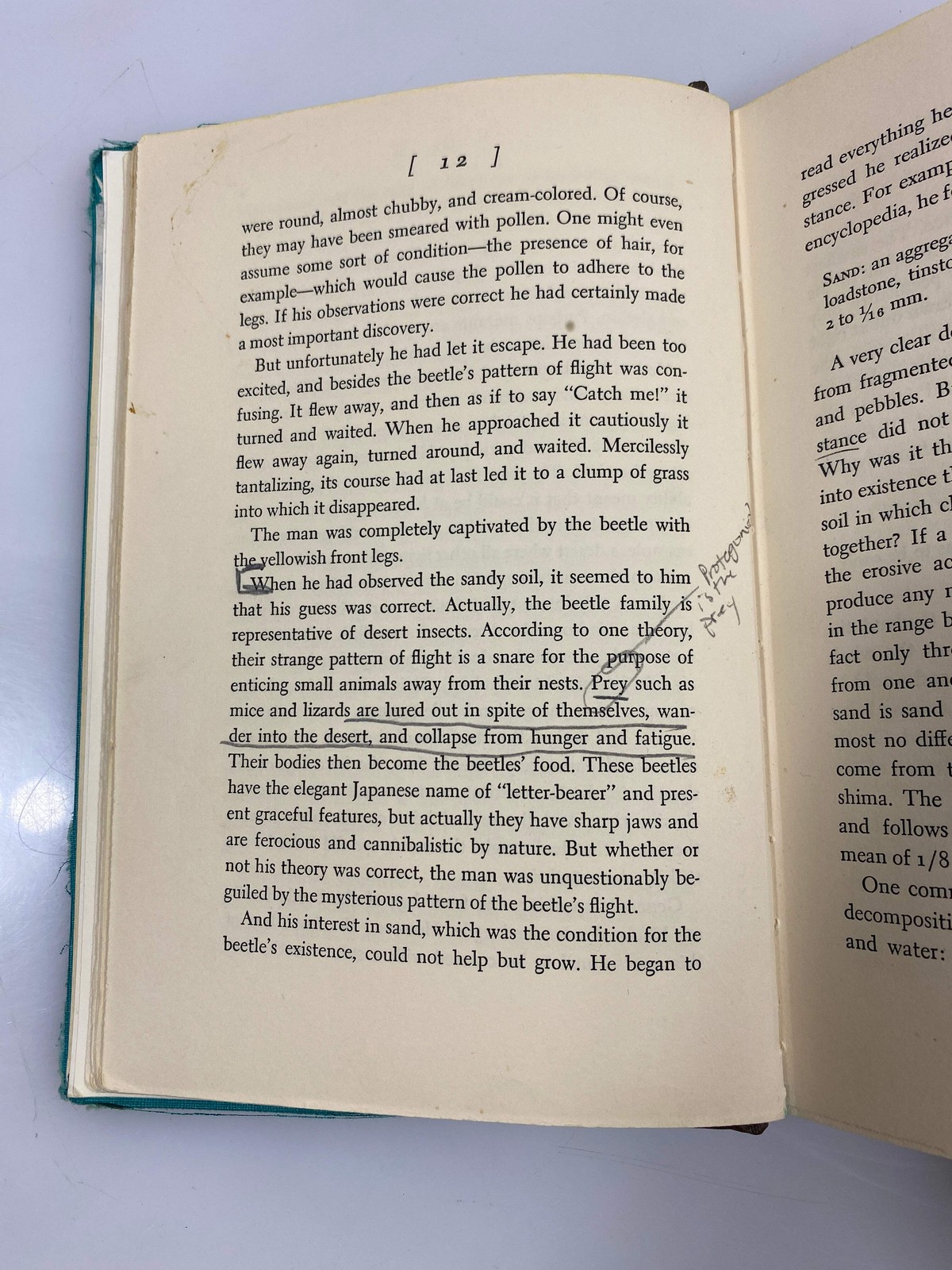 The Woman in the Dunes by Kobo Abe 1964 Ex-library 1964 HC