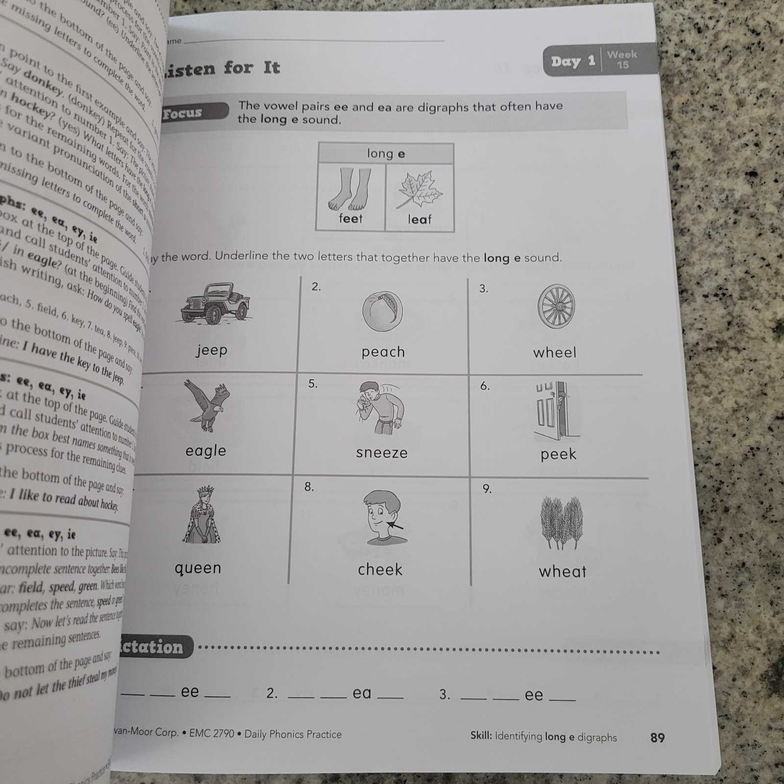 Reading & Phonics Bundle Grades 4–6 – Word Ladders + Daily Phonics Workbooks