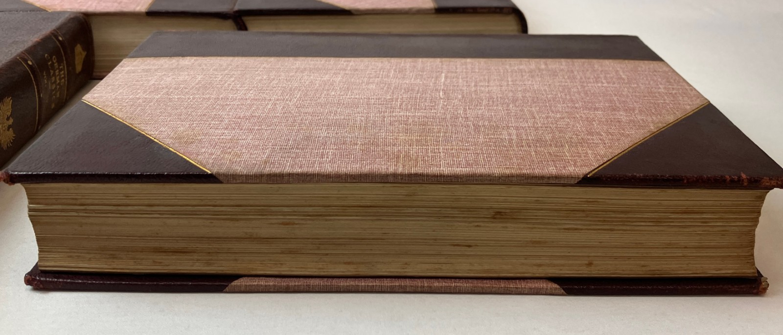 LOT OF 9 VOLUMES The German Classics Literature Patron&rsquo;s Edition Volumes 1-9