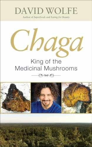 Chaga: King of the Medicinal Mushrooms – Paperback, by Wolfe David – Very Good