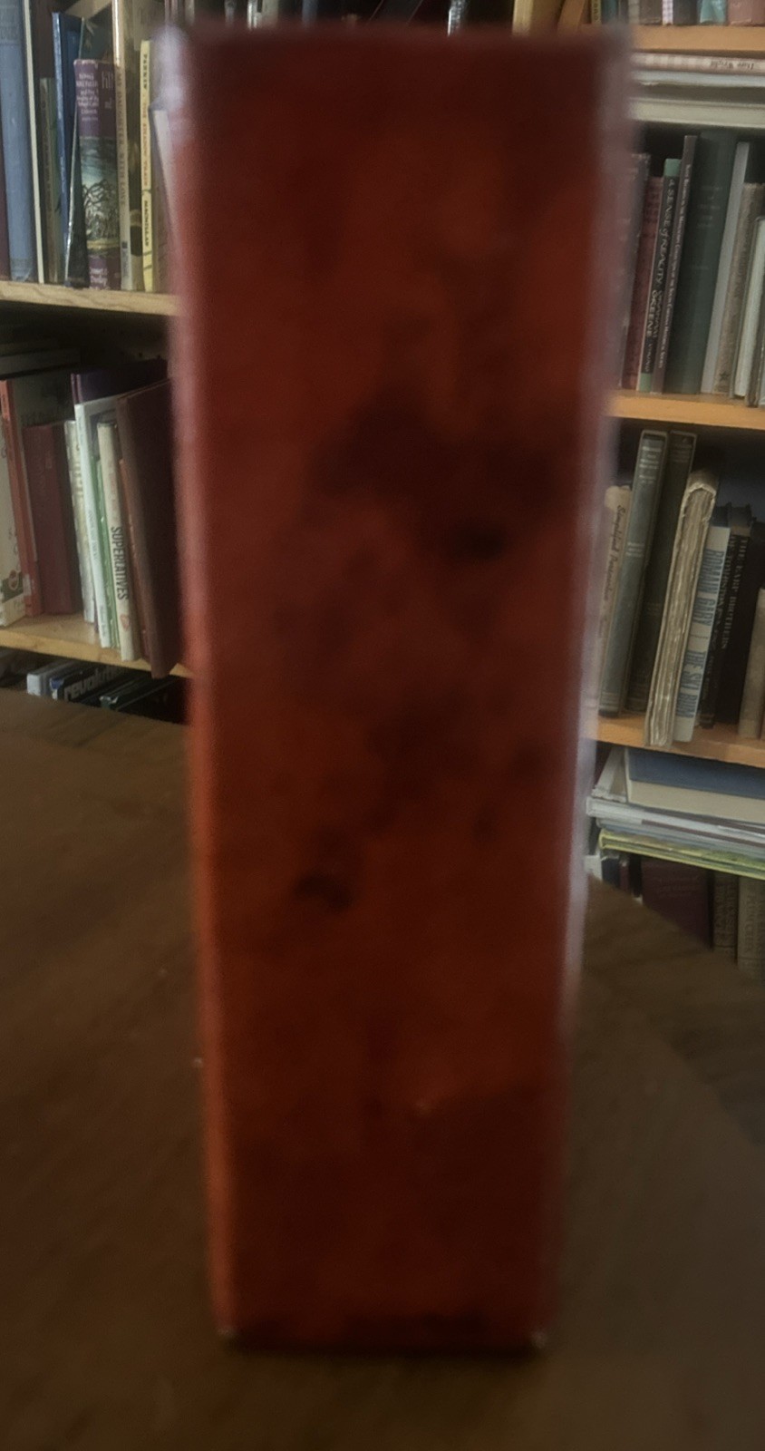 The Liturgy Of The Ethiopian Orthodox Church Book In Ge&rsquo;ez Amharic VINTAGE HC