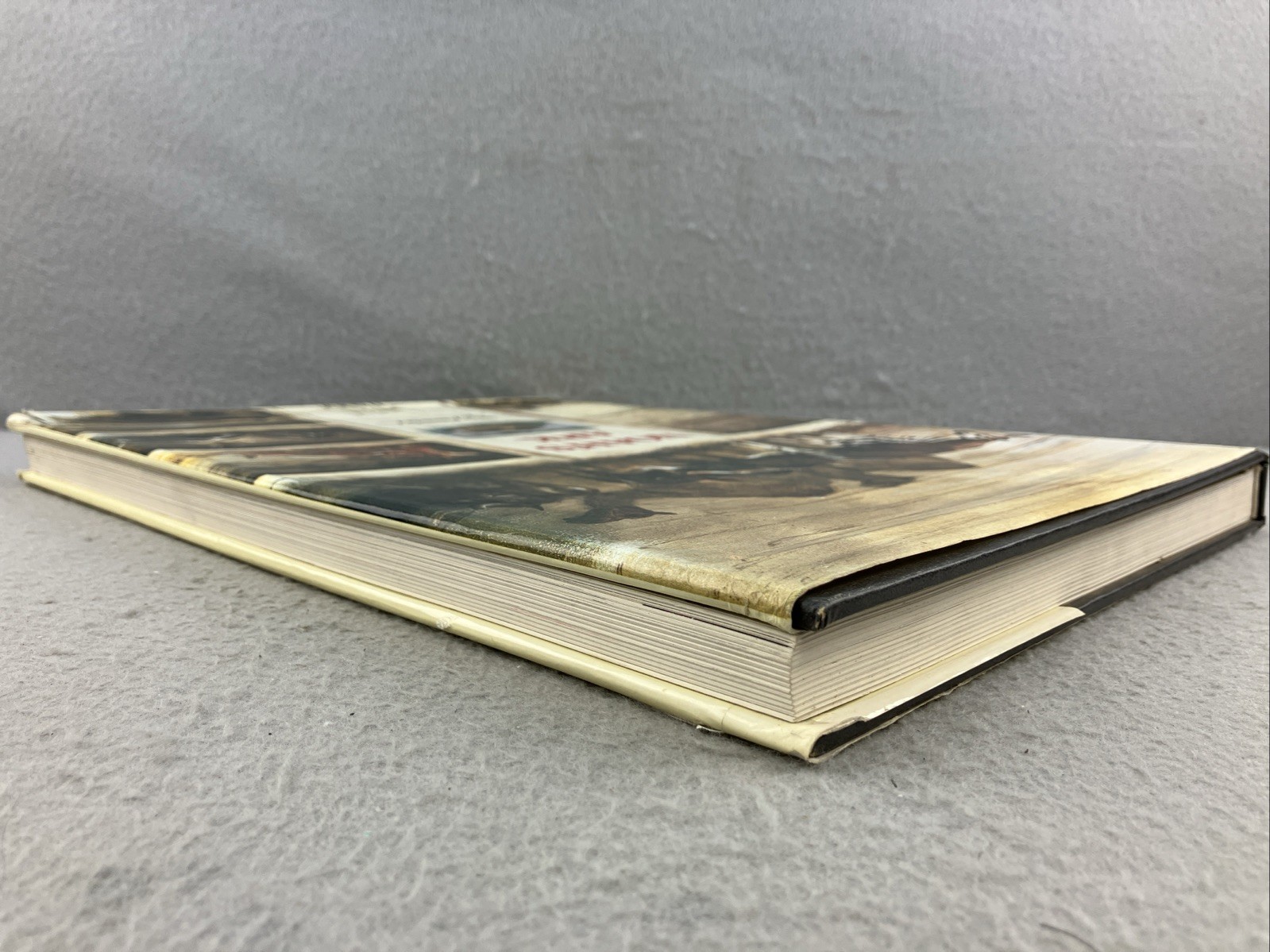 NOAH&rsquo;S ARK English Edition by Rien Poortvliet Illustrated Oversized HC/DJ