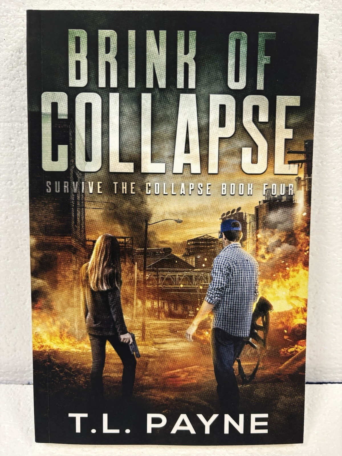 Lot Of 6 Books By T. L. Payne: Rain Of Darkness (1,3,4) & Survive The Collapse