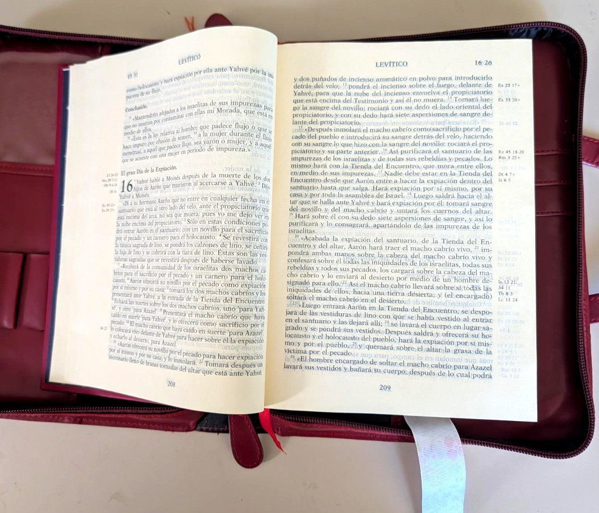 Nueva Biblia de Jerusalen Revisda y Aumentada en Letra Grande HC + carrying case