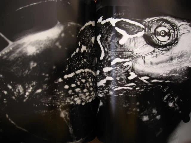 Nobuyoshi Araki « Erotos » Photo Book First edition Hardcover Japanese