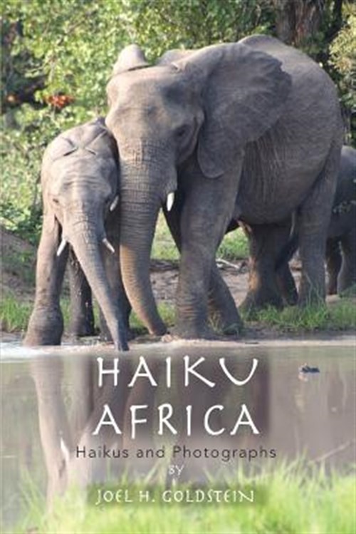 Haiku Africa : Haikus and Photographs, Paperback by Goldstein, Joel, Like New…