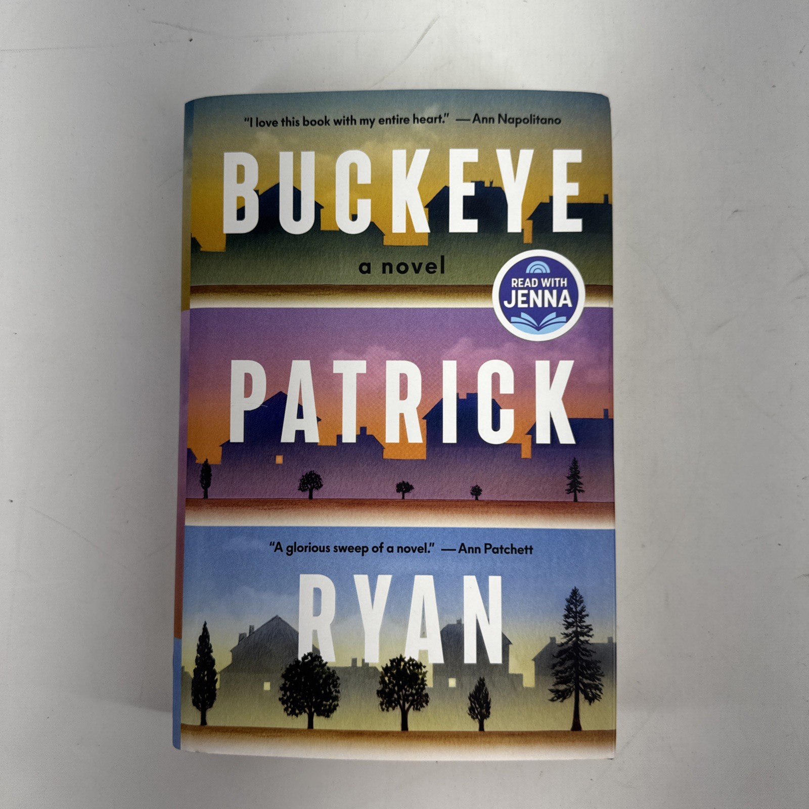 Buckeye: a Novel by Patrick Ryan Hardcover Dust Jacket First Edition
