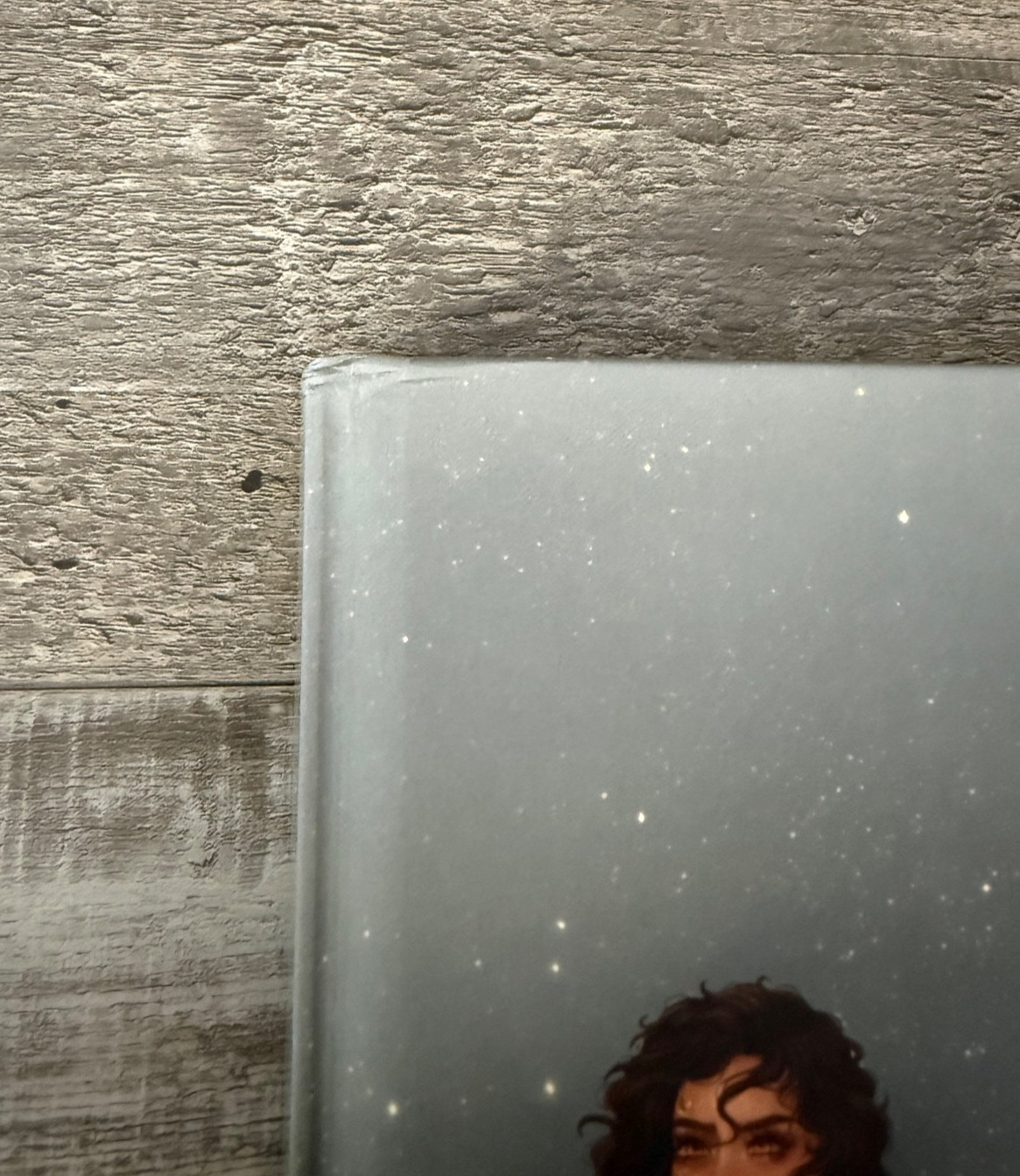 SIGNED Out Of Print KISSED BY THE GODS Caty Rogan INDIE HARDCOVER Self Published
