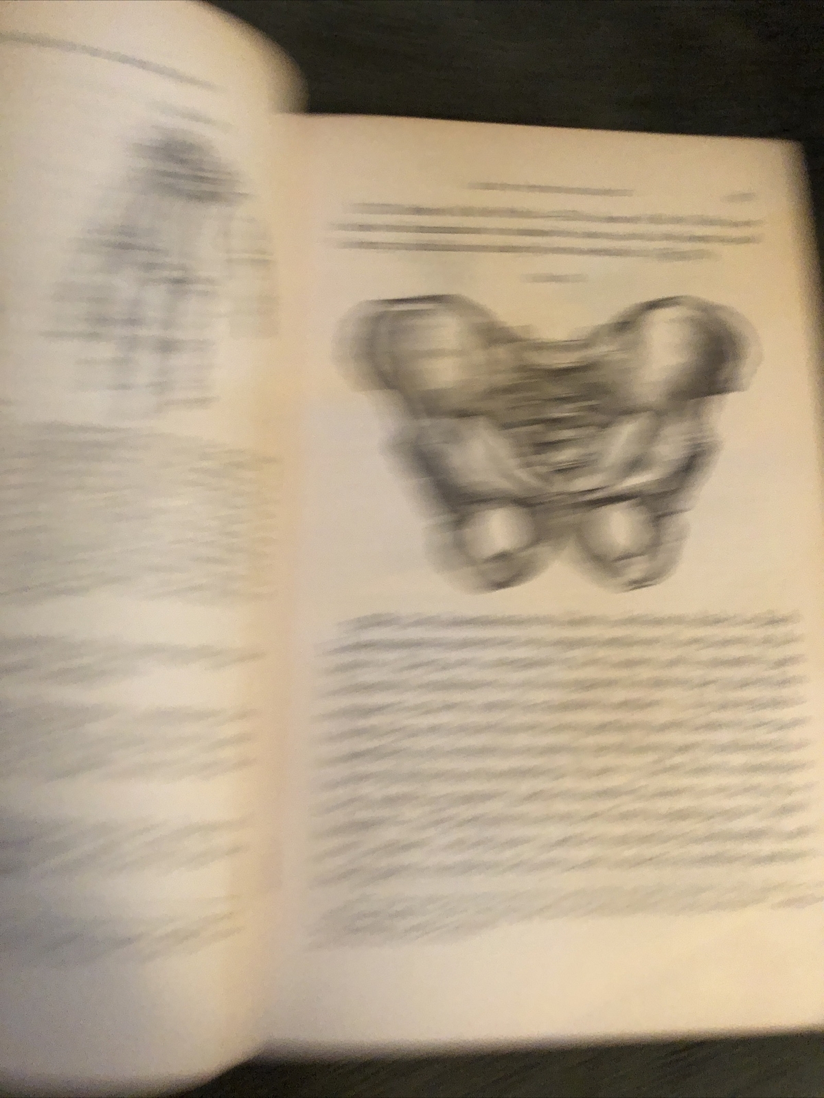 1875 Elementary Anatomy by Hitchcock black Hardback illust. 435 Pages w/index