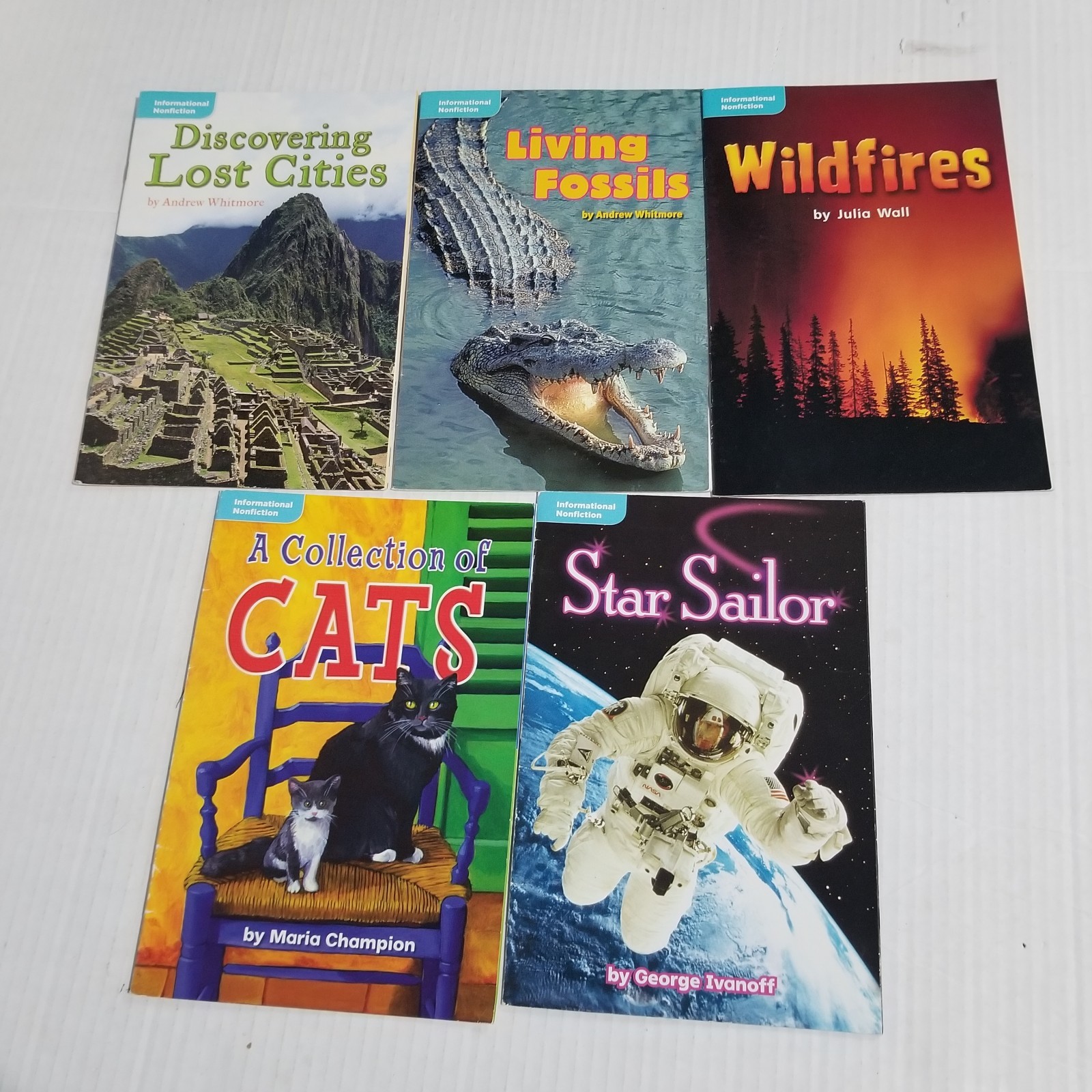 Phonics Learn to Read Bundle Lot 23 Leveled Readers Kindergarten 1st Homeschool