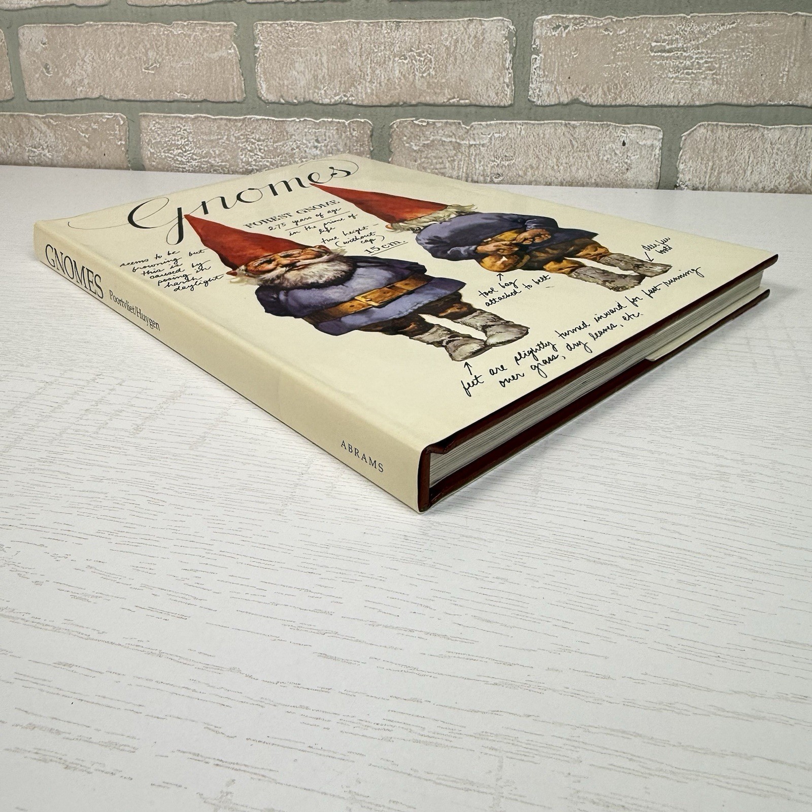 Gnomes Wil Huygen Rien Poortvliet 1977 Abrams Illustrated Fantasy Folklore HC DJ