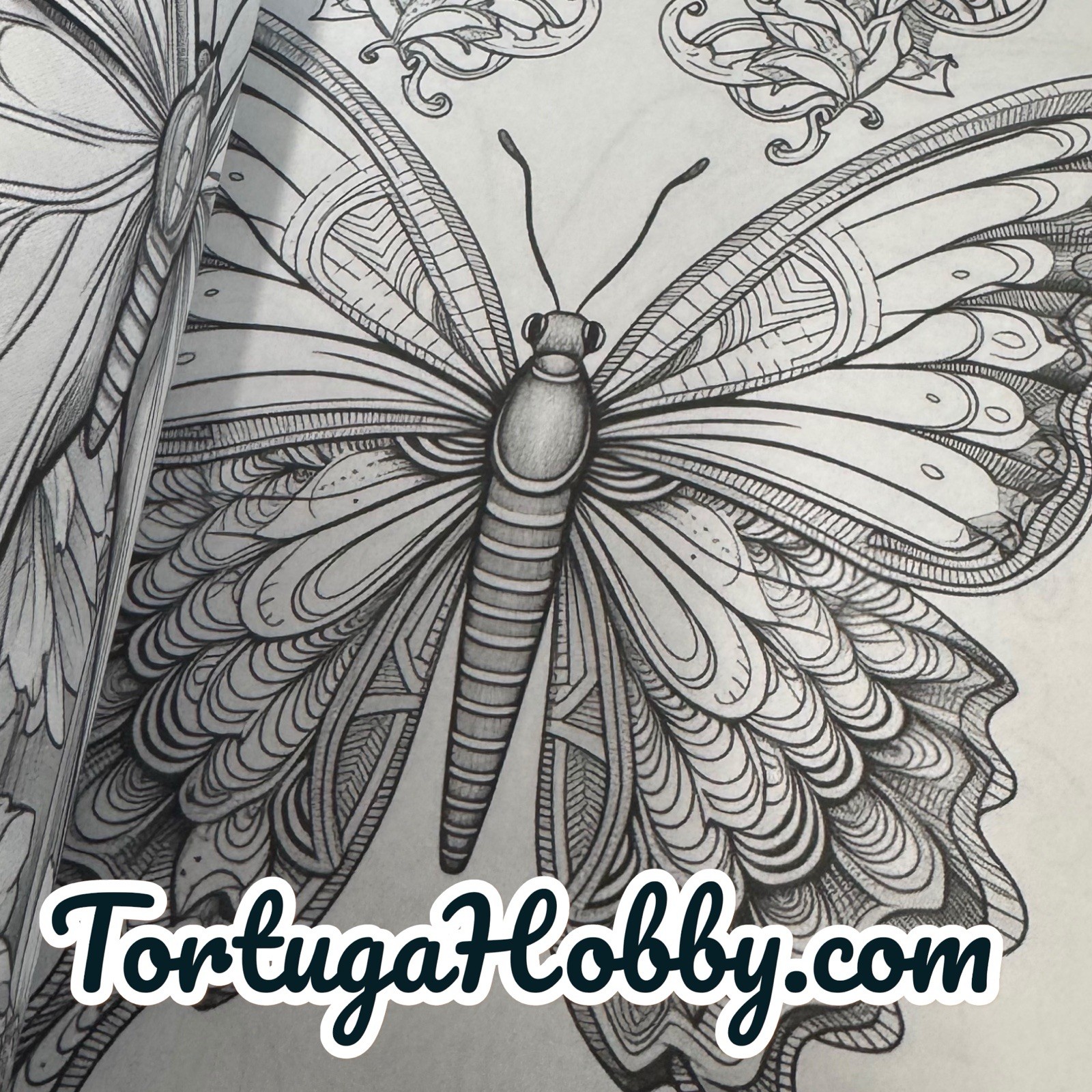 The World Of Butterflies – Adult Coloring Book – Coloring Book. 100+ Pages.