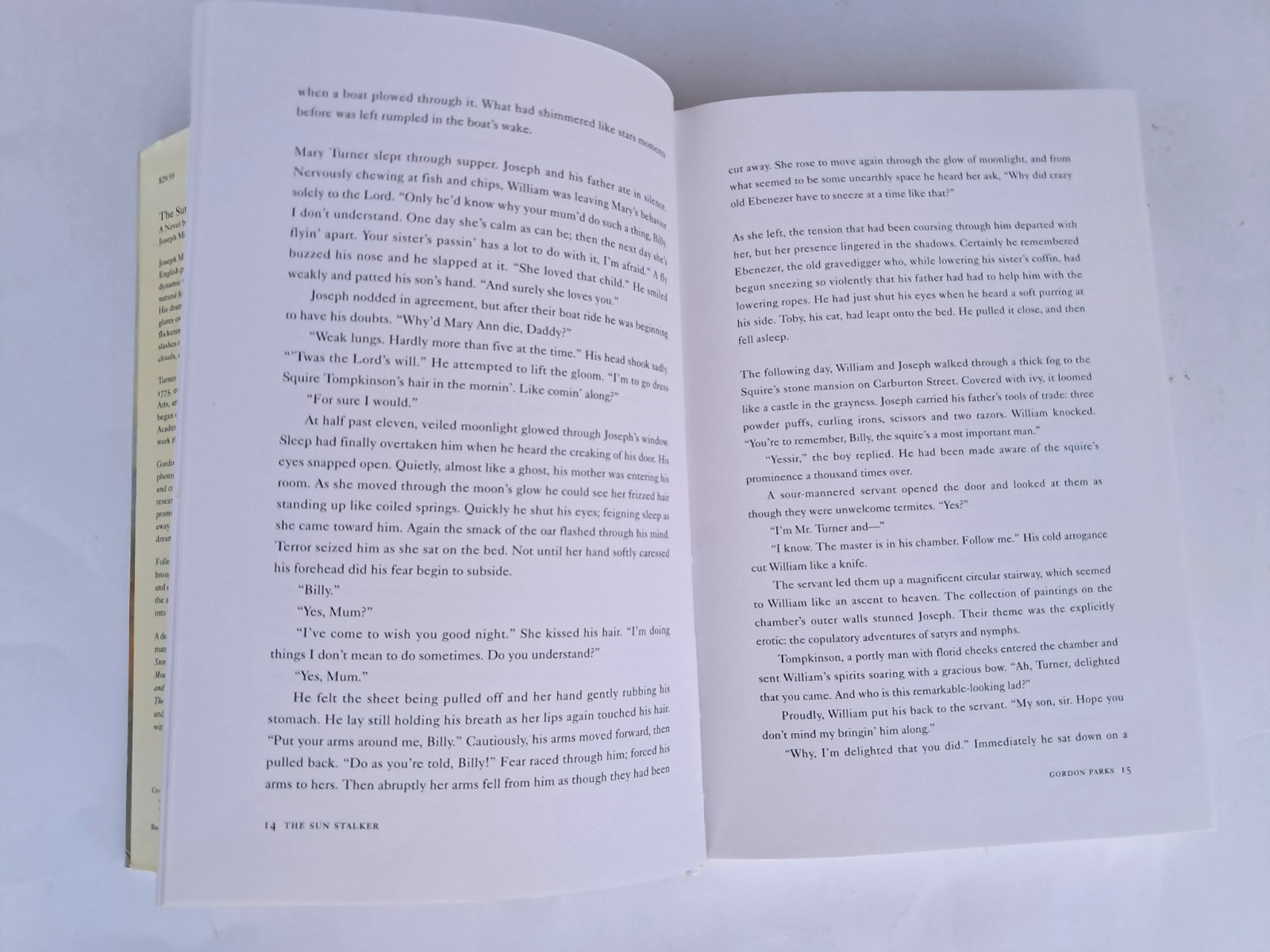 The Sun Stalker: A Novel Based on the Life of Joseph Mallord William Turner