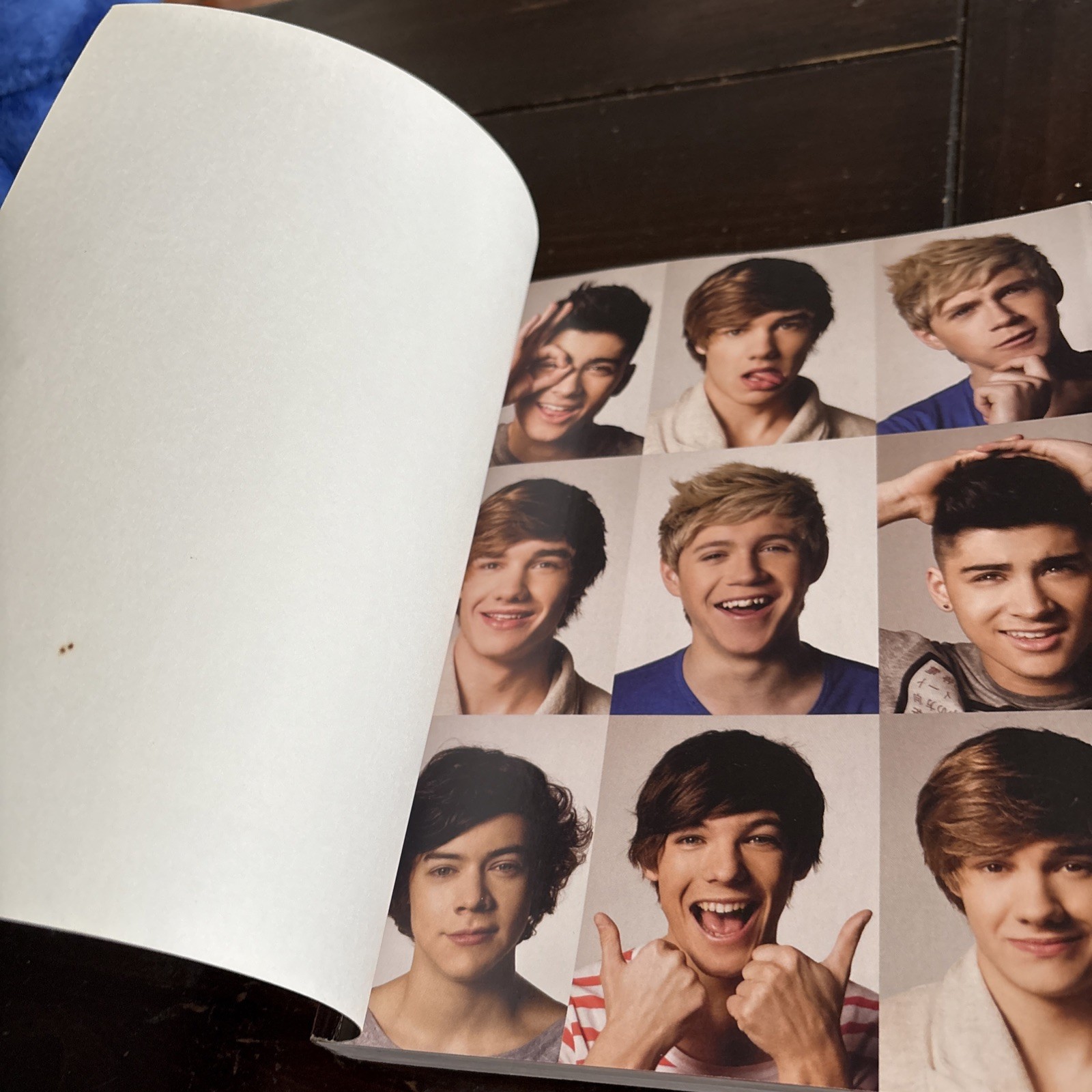 One Direction: Dare to Dream : Life As One Direction by One One Direction (2012,