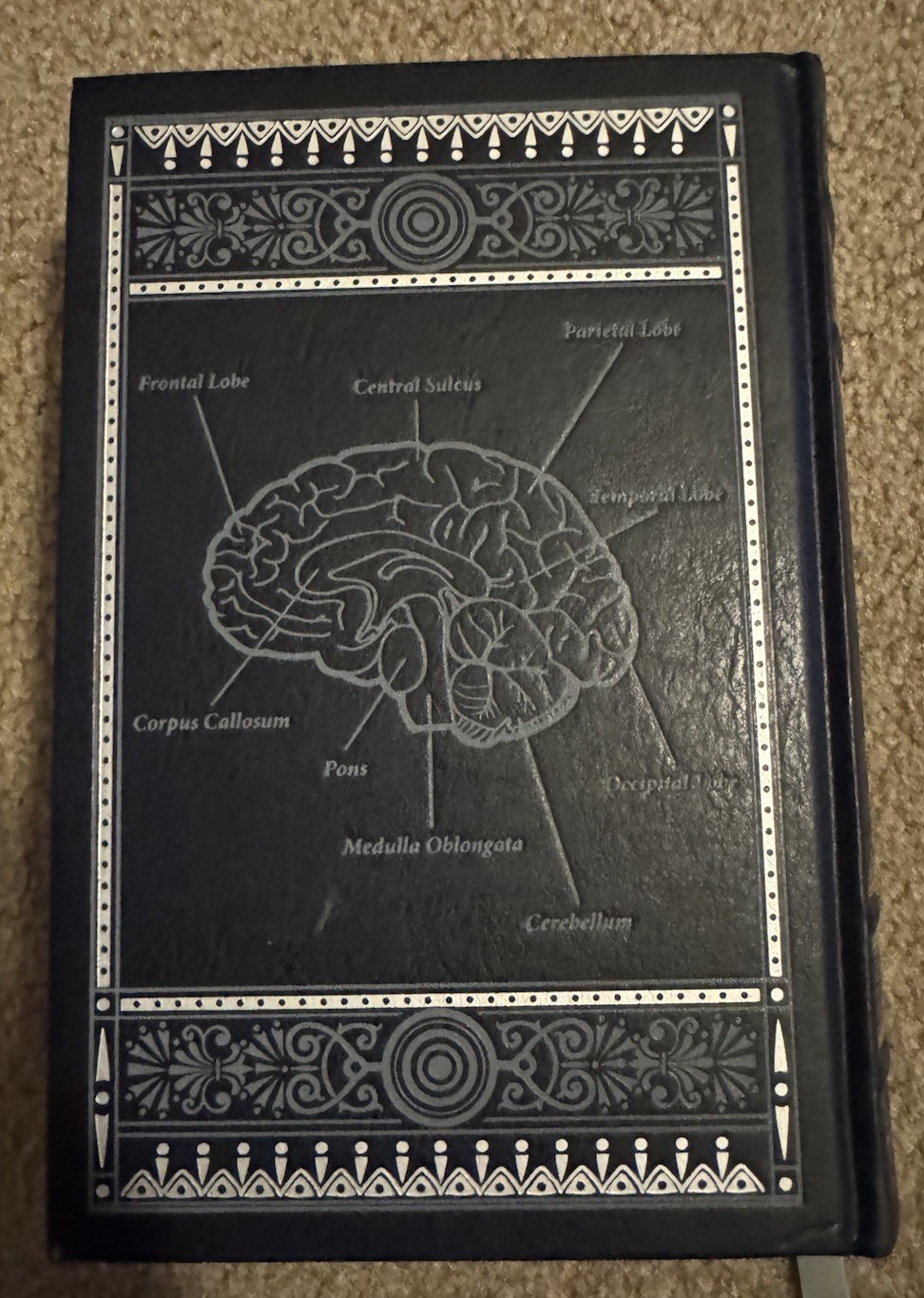 Gray&rsquo;s Anatomy Blue Leather Bound Hardcover Book by Henry Gray H.V. Carter