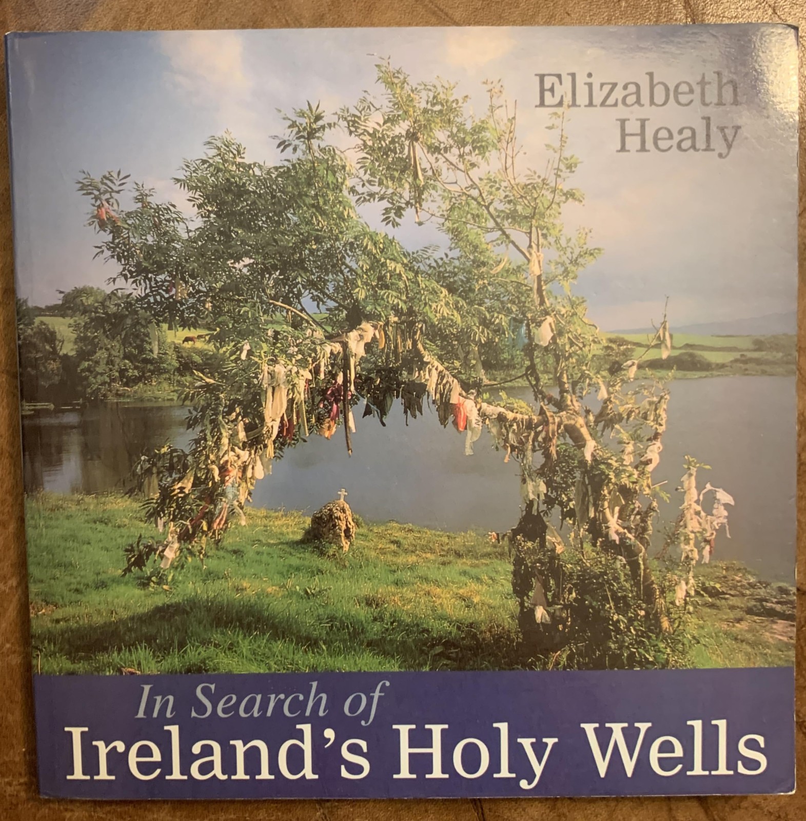 In Search of Ireland&rsquo;s Holy Wells – paperback Healy, Elizabeth