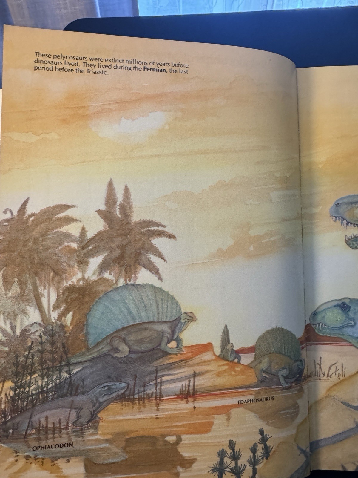 The Illustrated Dinosaur Dictionary by Helen Roney Sattler
