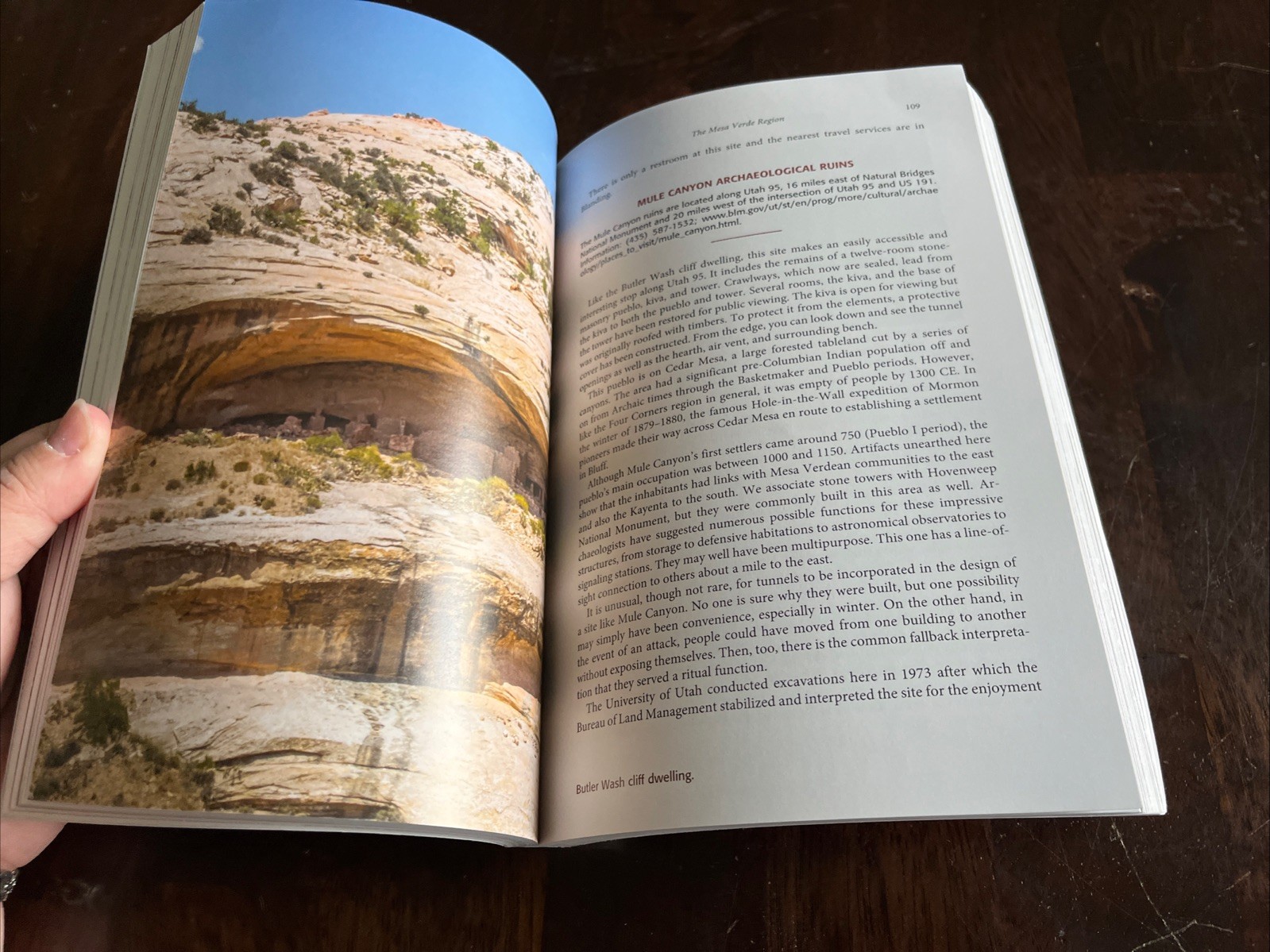 Ancient Ruins and Rock Art of the Southwest: An Archaeological Guide David Noble