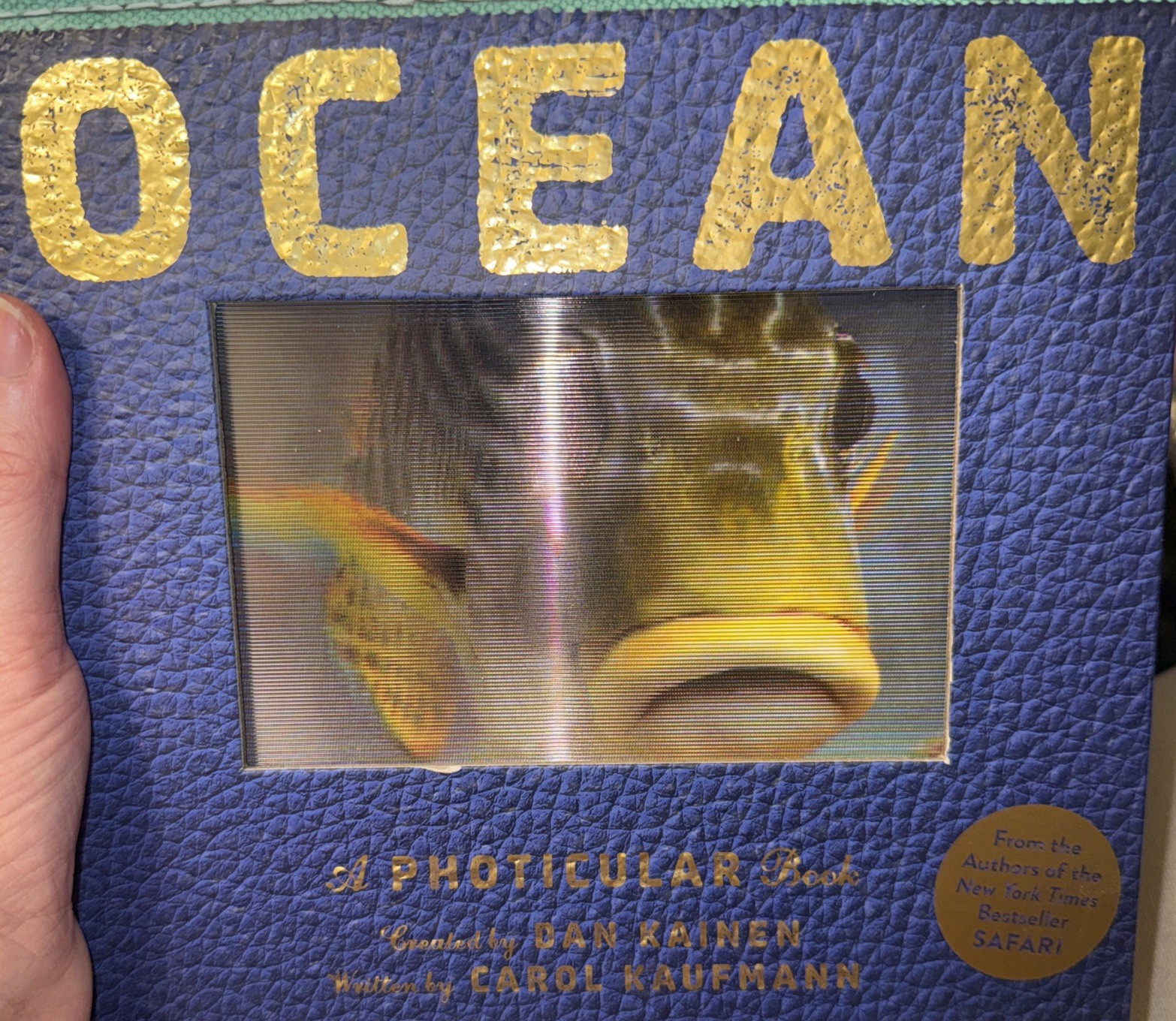 OCEAN A Photicular Book