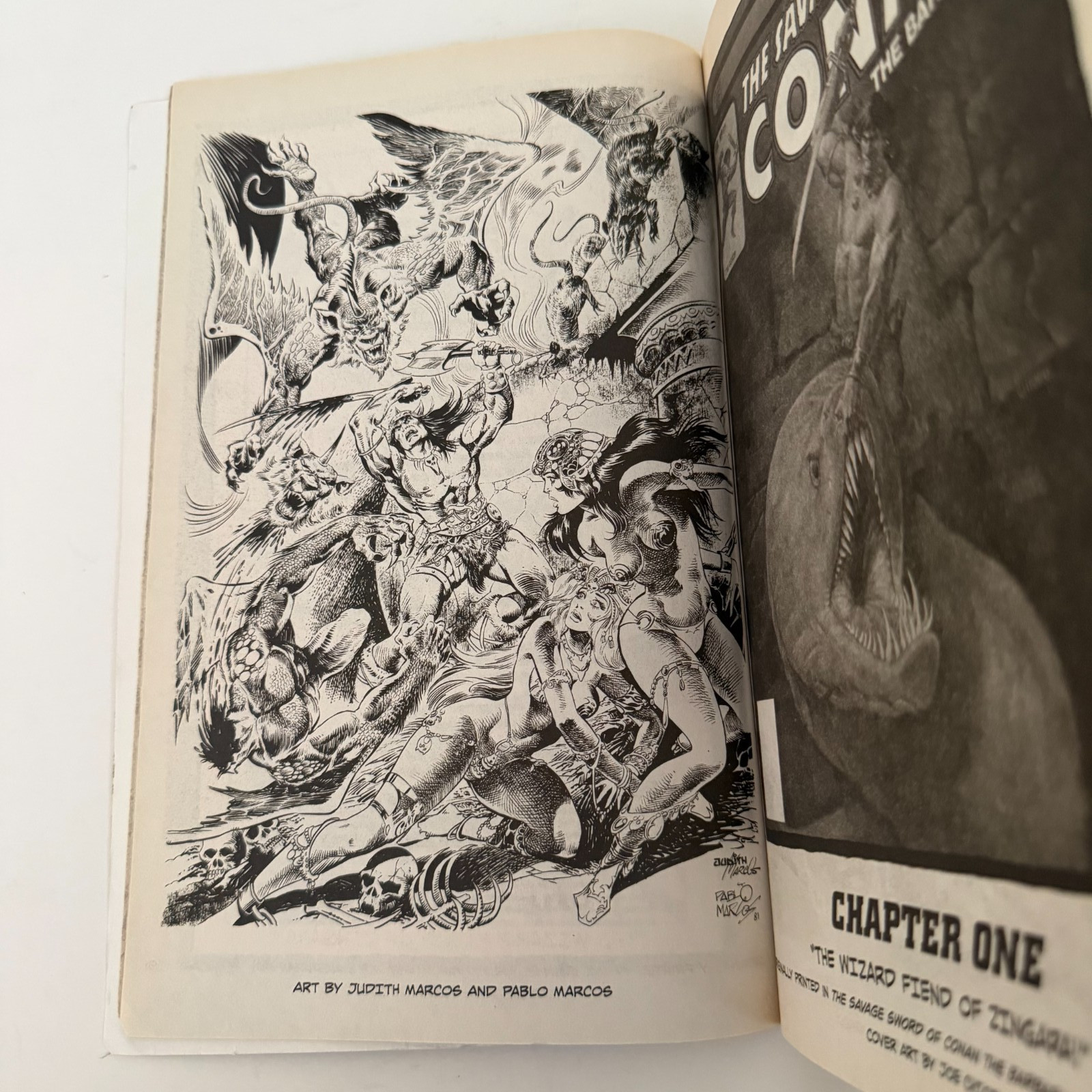 The Savage Sword of Conan Volume 6 Paperback 2009 Dark Horse First Edition