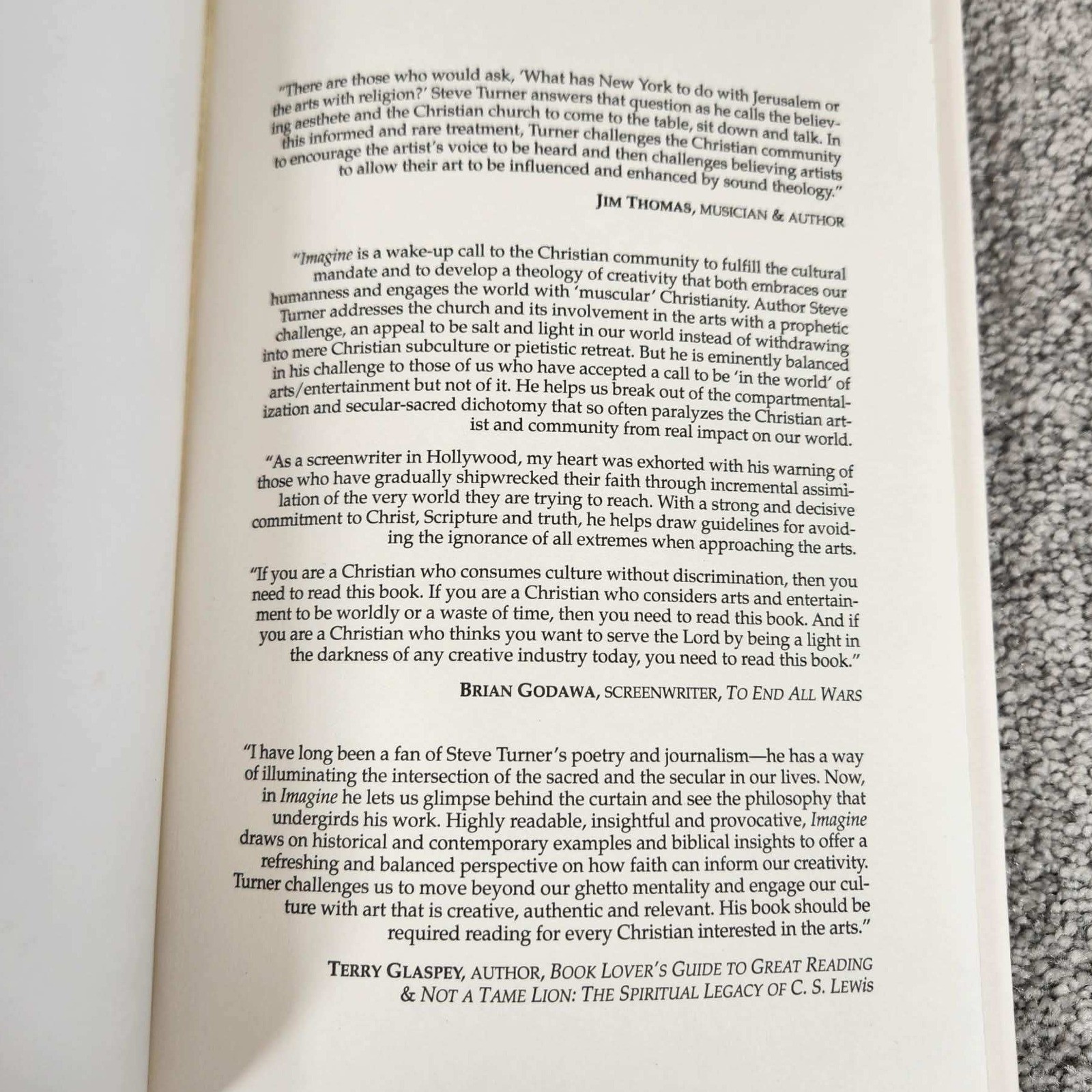 InterVarsity Press Imagine Steve Turner Christian Arts Paperback Religion 8.25&Prime;