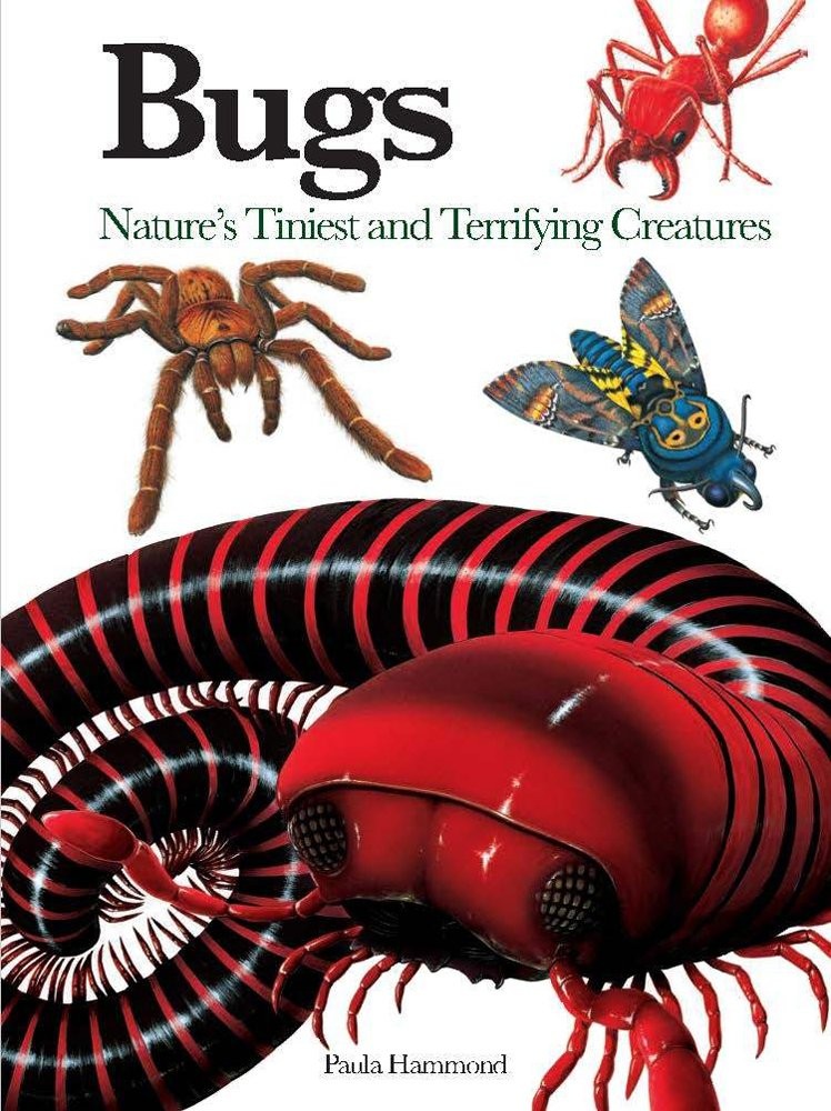 Bugs: Nature&rsquo;s Tiniest and Terrifying Creatures (Mini Encyclopedia)