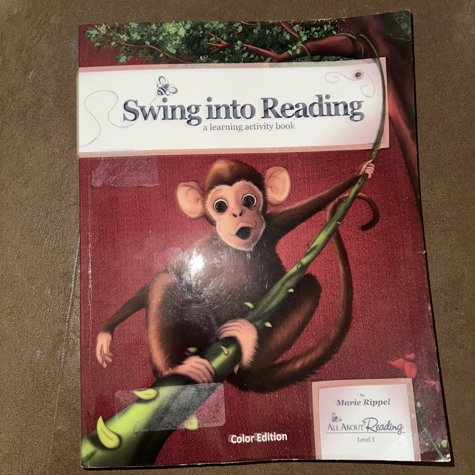 All About Reading Level 3: Swing into Reading Activity Book (Color Edition)