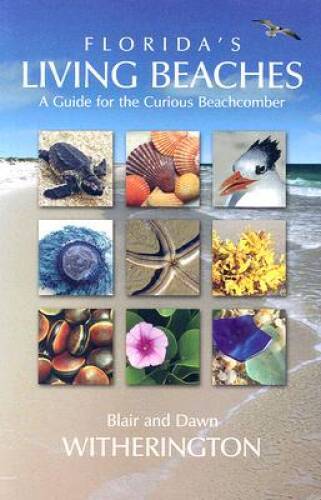 Florida&rsquo;s Living Beaches: A Guide for the Curious Beachcomber – Paperback – GOOD