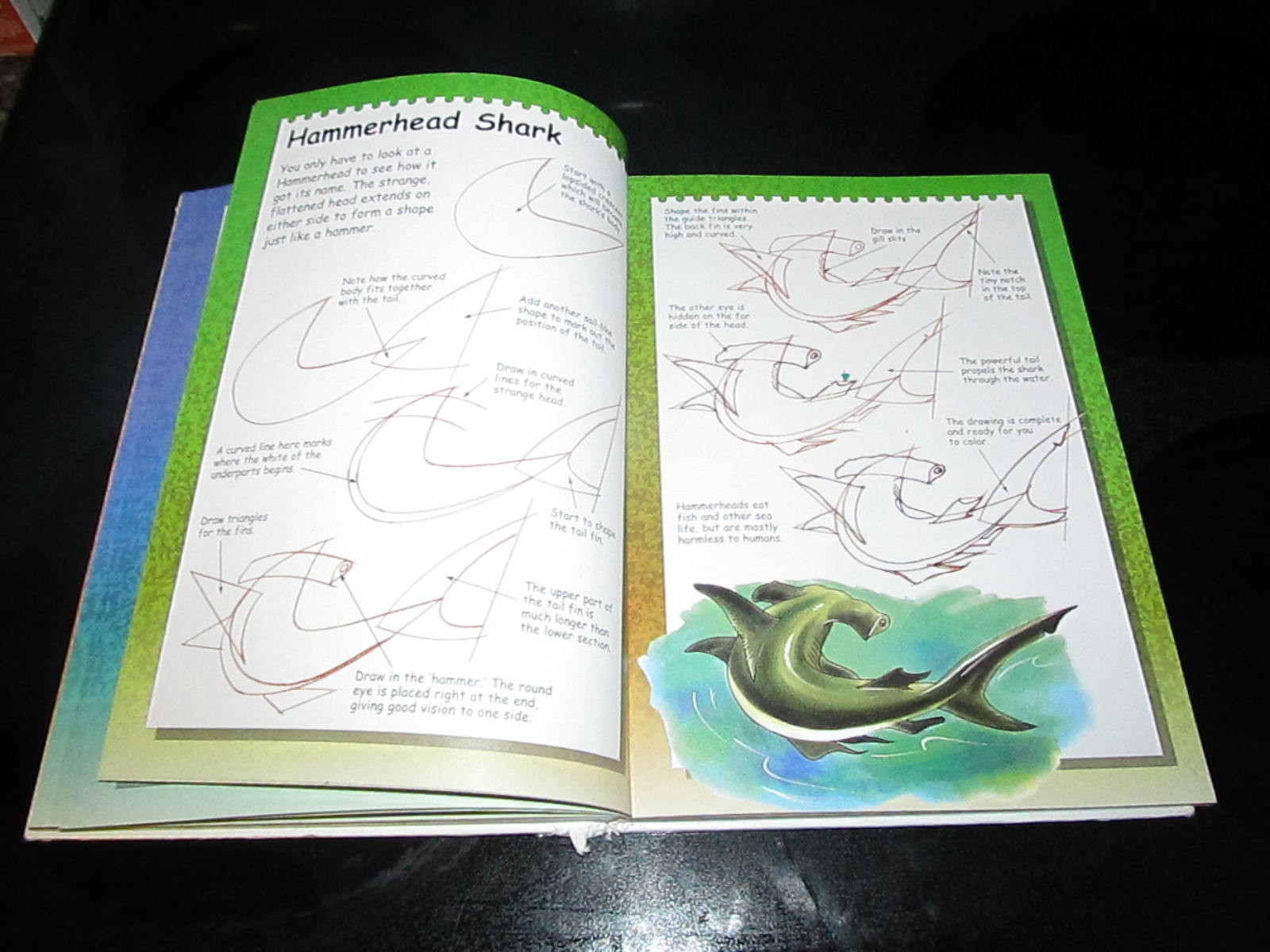 Terry Longhurst « I Can Draw.. » Youth Young Adult Book Art Artwork Animals People
