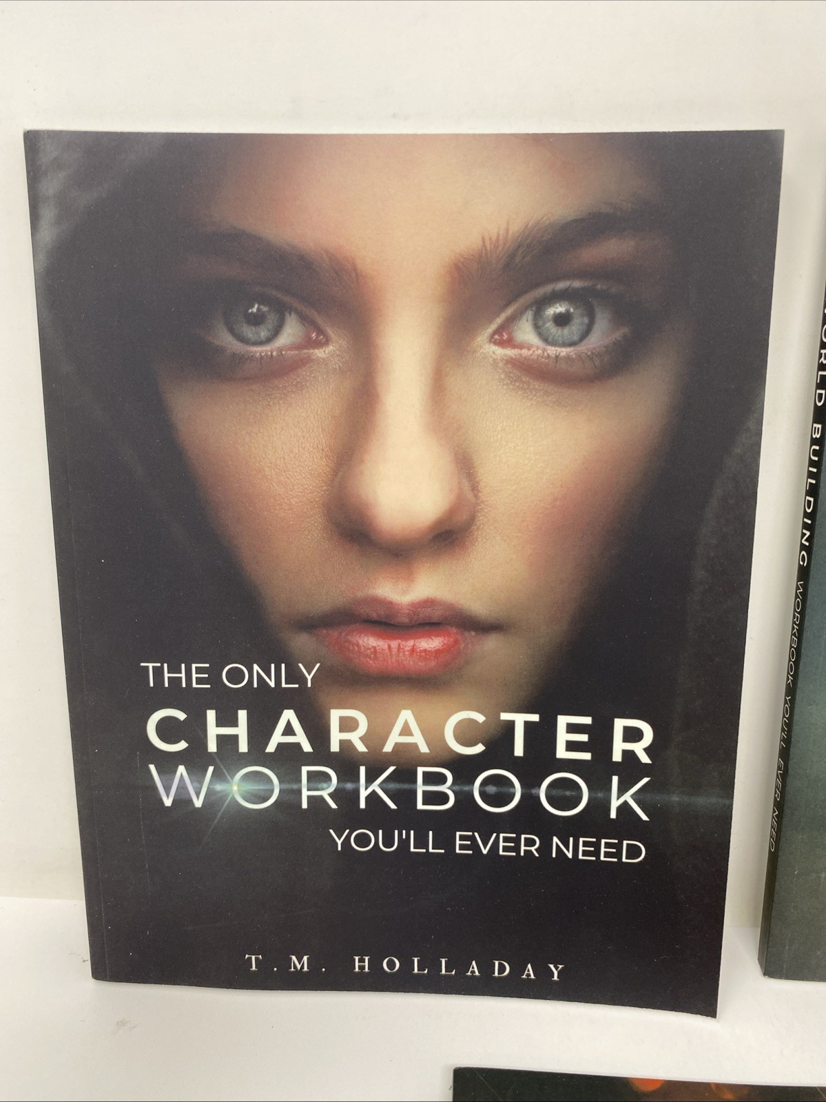 The Only Character World Building Fantasy Workbook You’ll Ever Need Holladay Lot