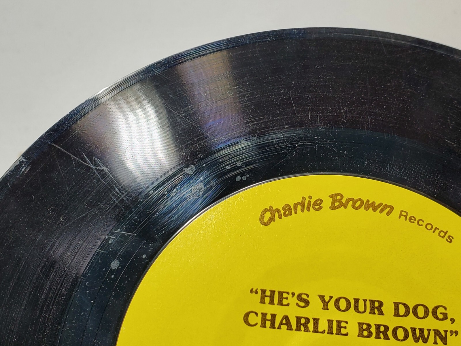 Vintage Read Along Book And Record He&rsquo;s Your Dog Charlie Brown