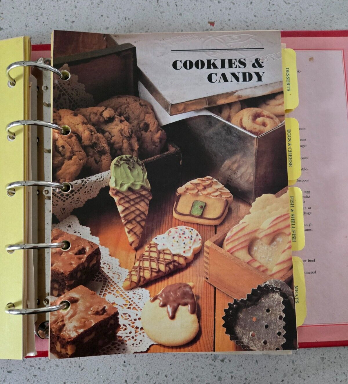 Betty Crocker&rsquo;s 40th Anniversary Edition Cookbook – 1991 – 432 pages
