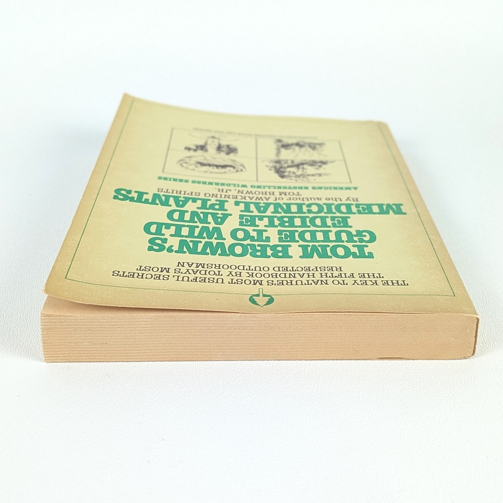 TOM BROWN&rsquo;S GUIDE TO WILD EDIBLE AND MEDICINAL PLANTS by Tom Brown Jr. – 1985 PB