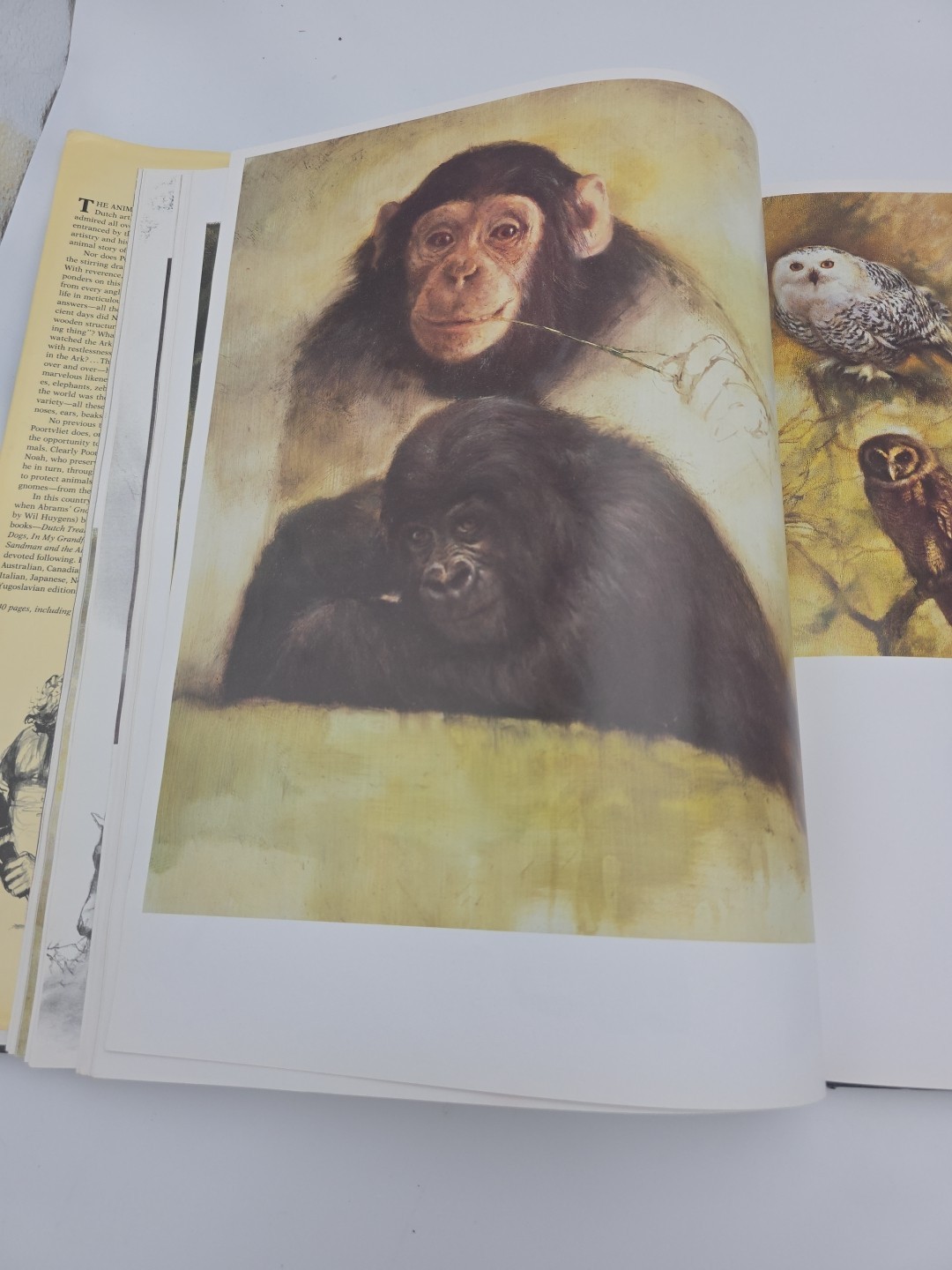 NOAH&rsquo;S ARK Animal Art by Rien Poortvliet Netherlands 1986