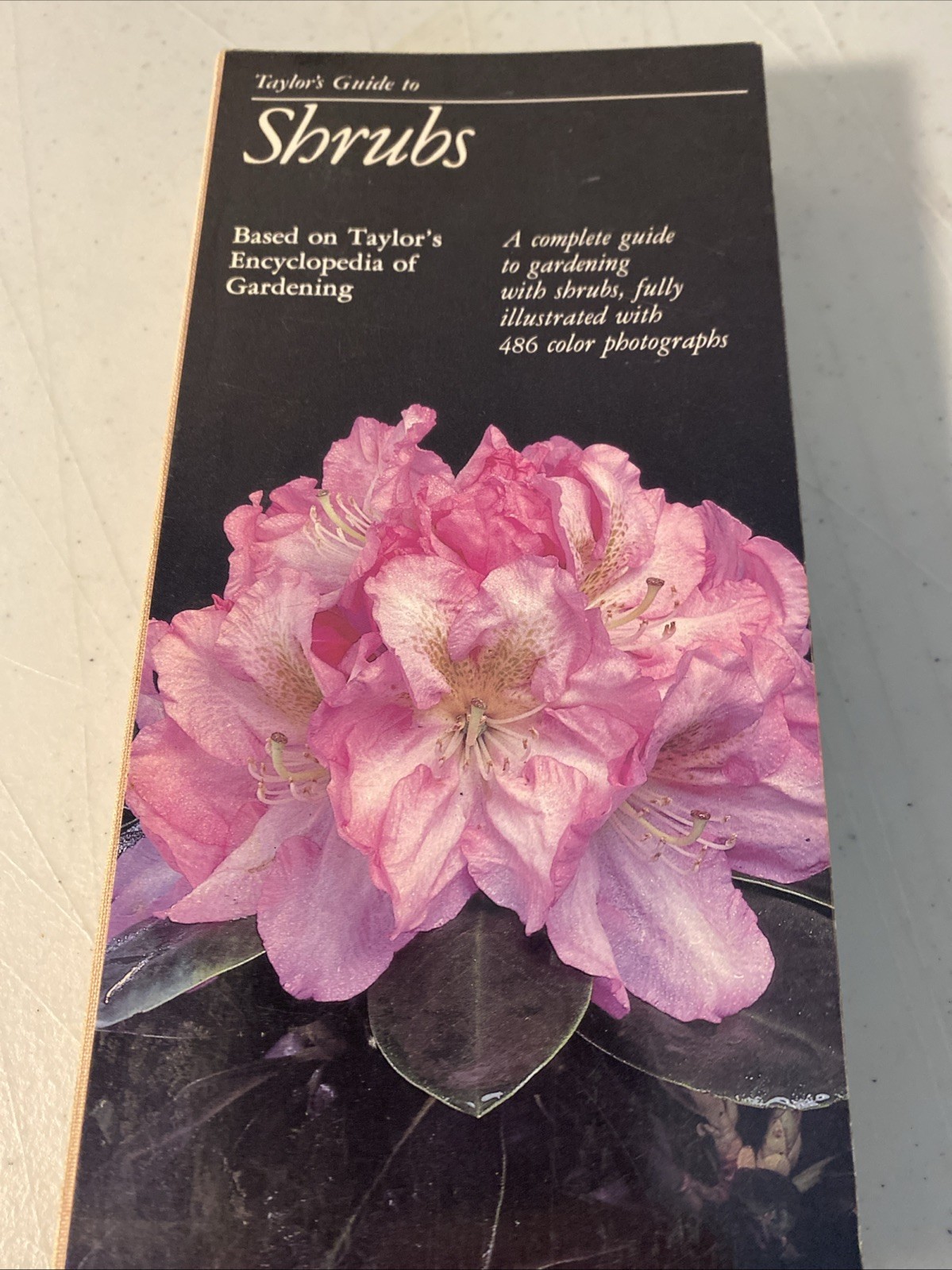 Taylor&rsquo;s Guides Lot of 4 Shrubs, Garden Design, Shade Gardening, Techniques