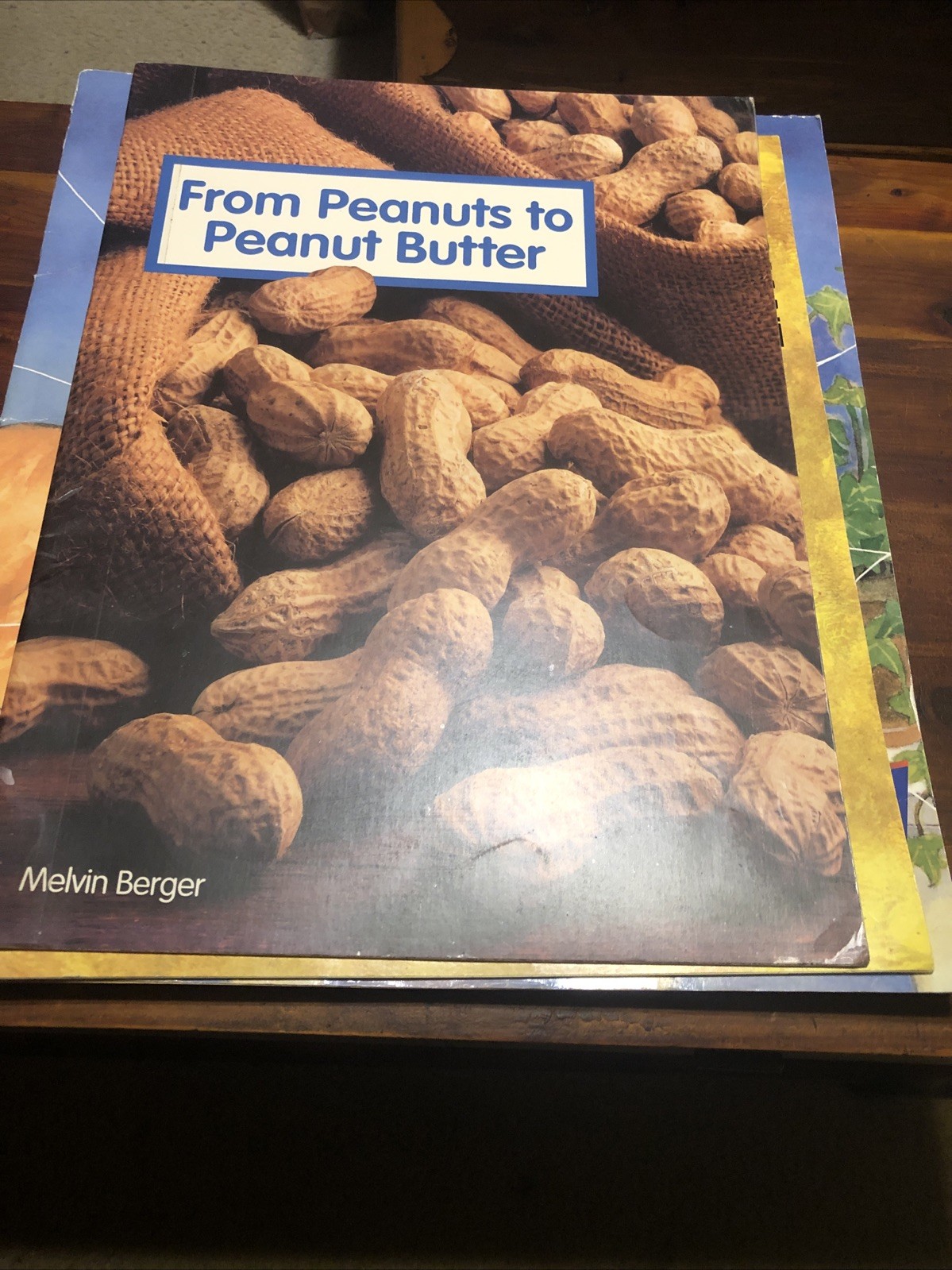 TEACHER BIG BOOKS – Many Different Book Titles – Only $18 Each – Free Shipping