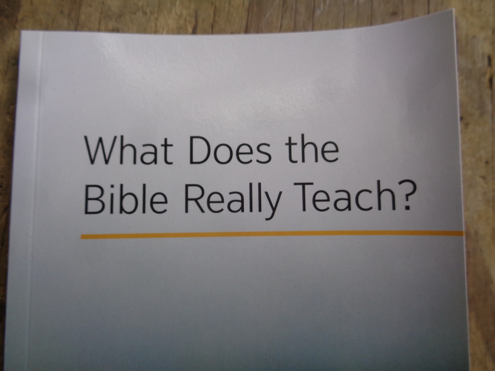 « WHAT DOES THE BIBLE REALLY TEACH? ». 2016. 223 pages. Paperback. Watchtower