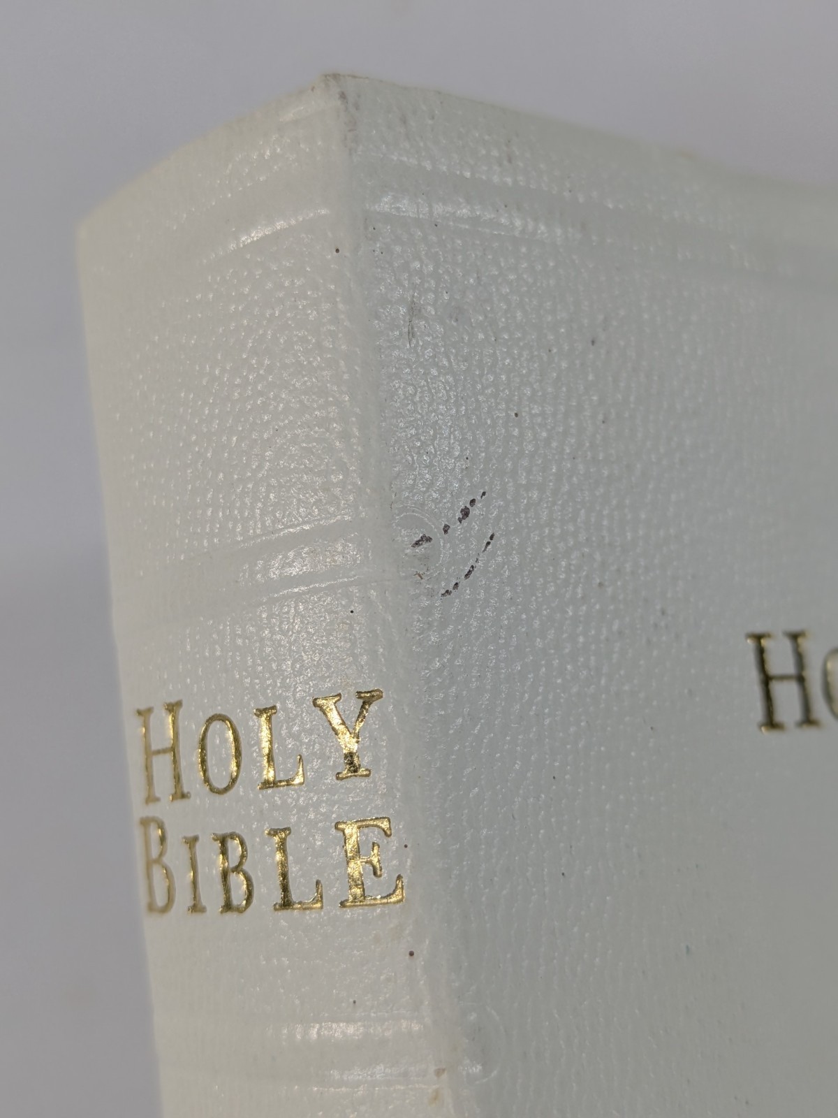 ✝️Holy Bible Self-Pronouncing Illustrated White Cover KJV World Publishing 70&rsquo;s?