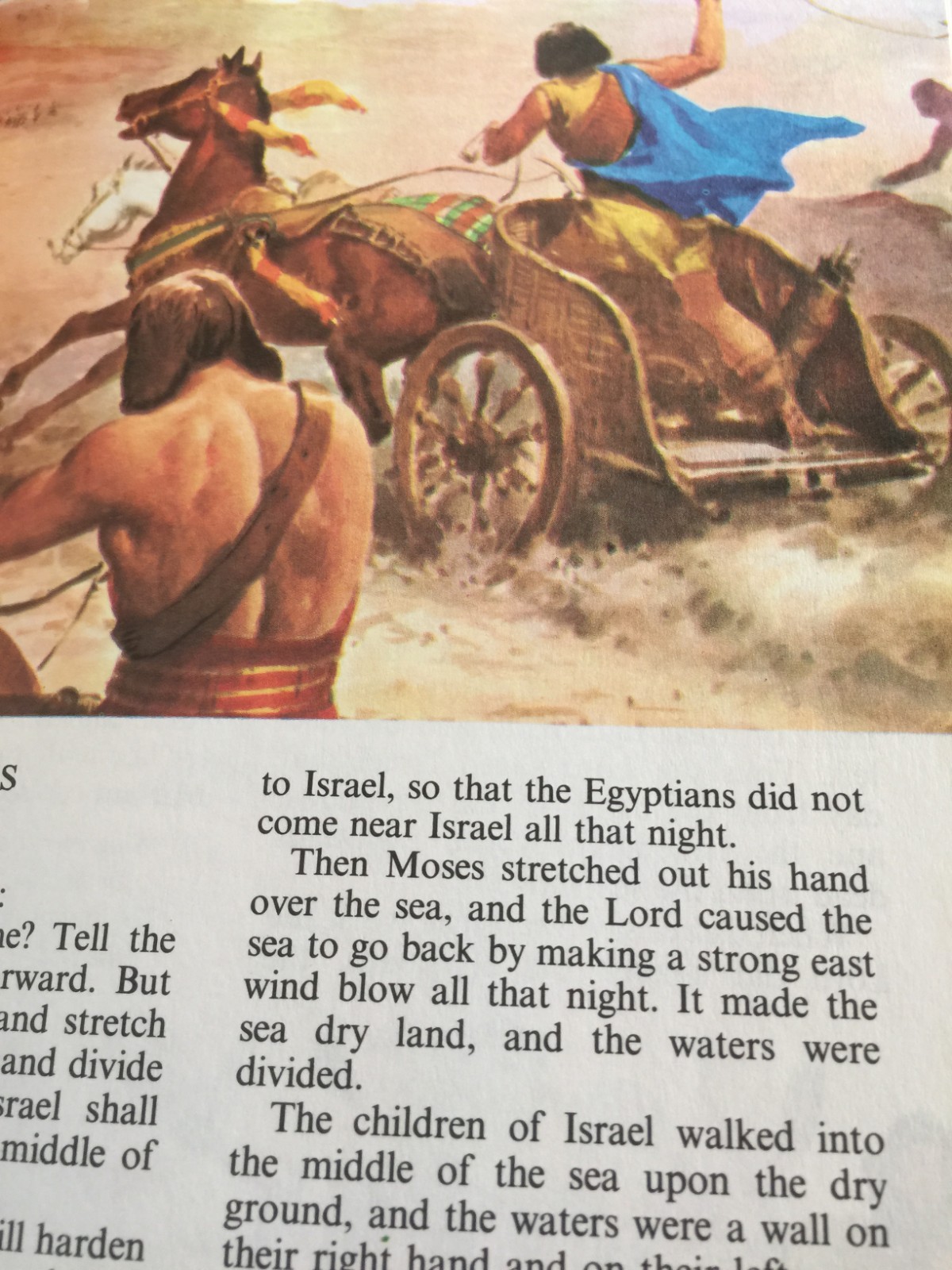 The Golden Children&rsquo;s Bible: A Full-Color Bible for Kids Hardcover 512 Pages