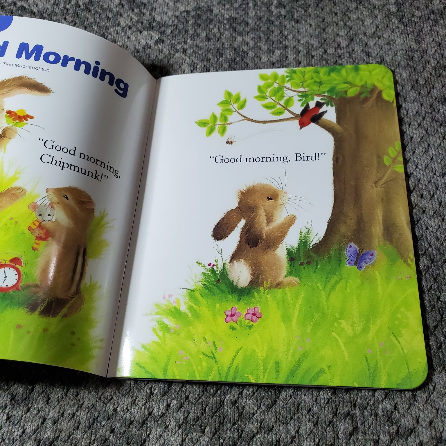 Highlights Hello My First Magazine Board Book Lot Early Learning Toddler Baby