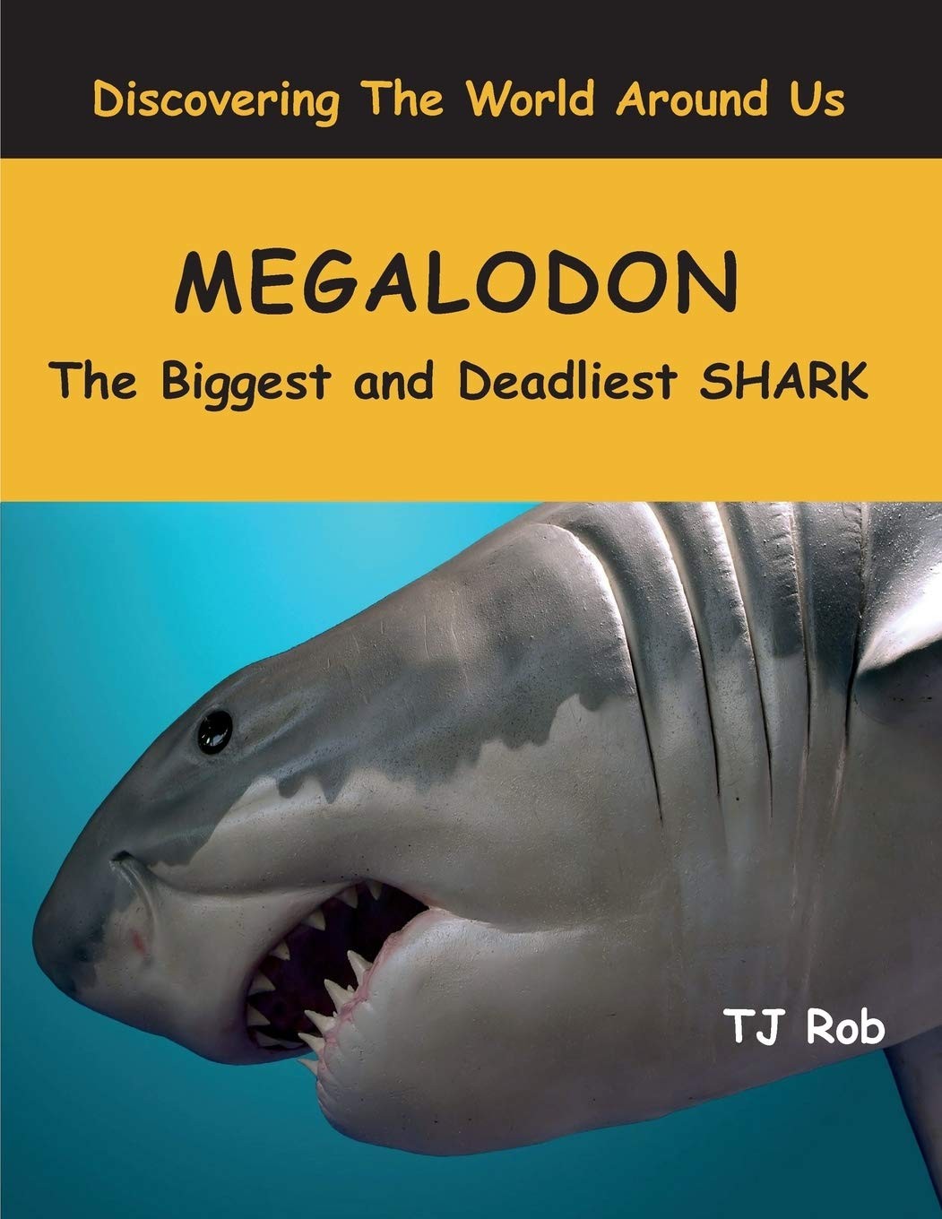 Megalodon: The Biggest and Deadliest SHARK (Age 5 – 8) (Discovering the Worl…