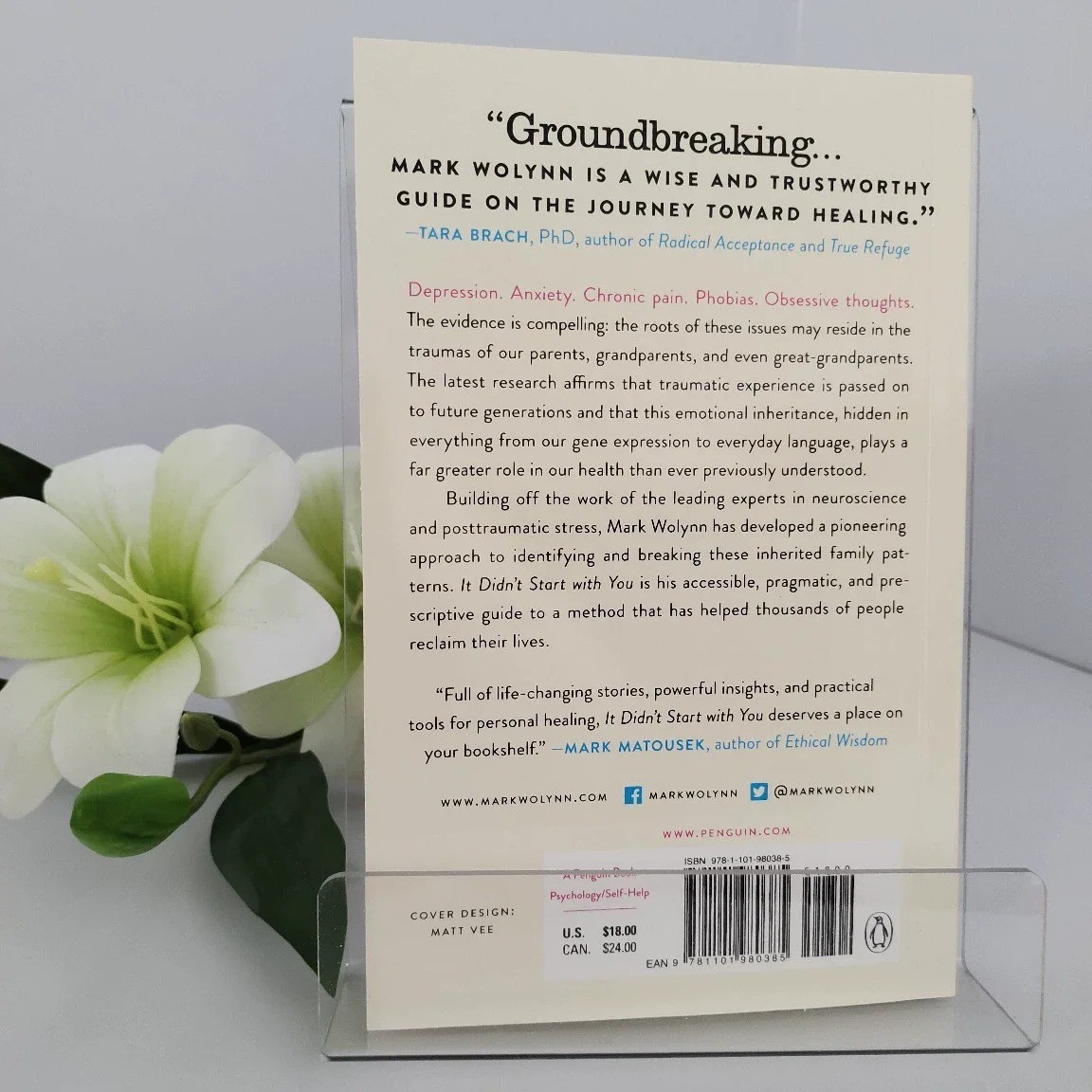 It Didn&rsquo;t Start with You : How Inherited Family Trauma Shapes Who We Are and How