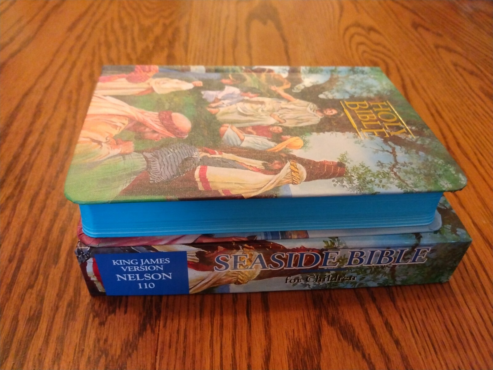 Children&rsquo;s Bible KJV Seaside Bible Illustrated Nelson Hardcover blue edge