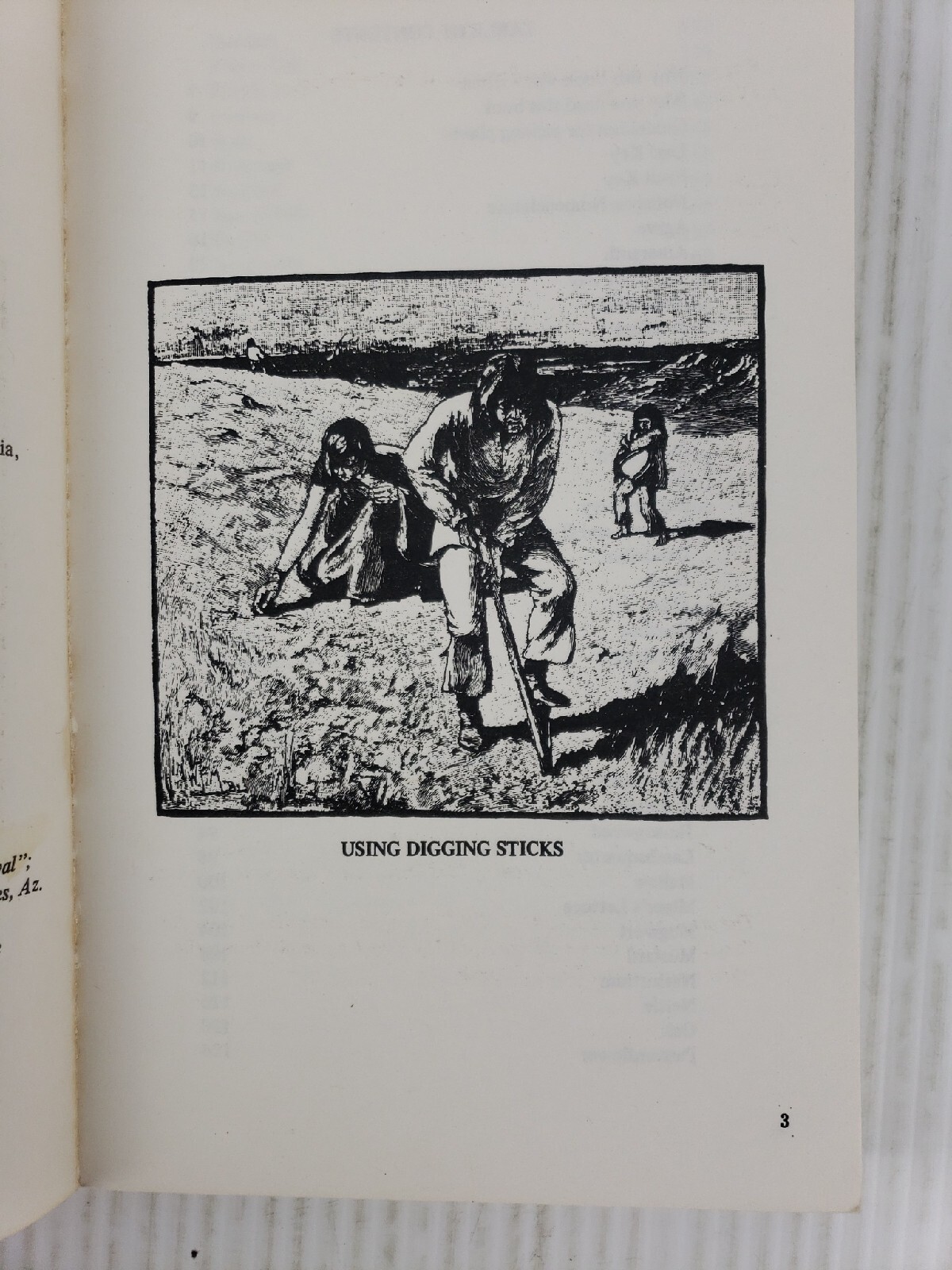A Southern Californian&rsquo;s Guide to Wild Food Volume 1 by Christopher Nyerges
