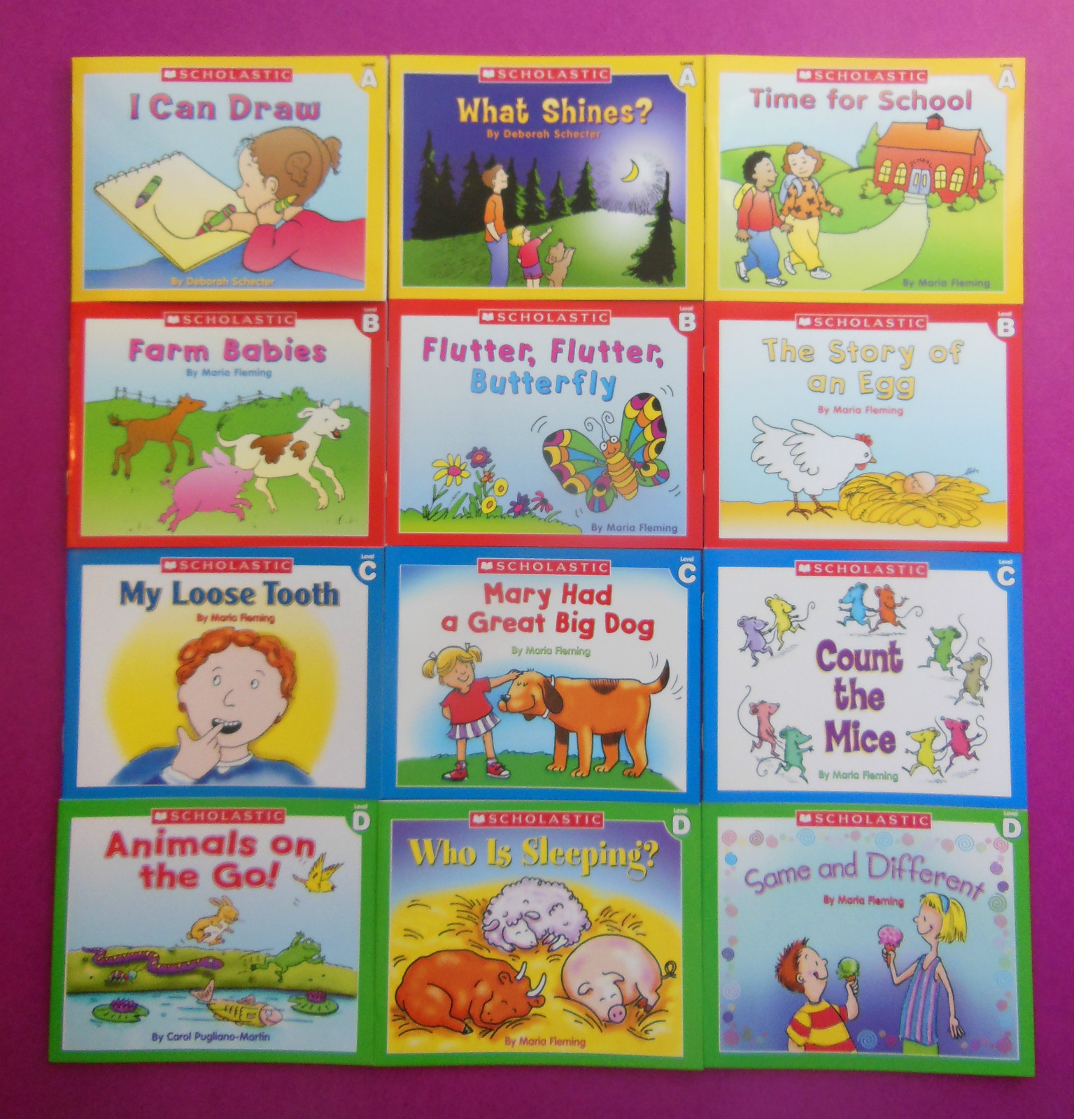 Little Leveled Readers Lot 12 Phonics Children&rsquo;s Books Teaching Reading