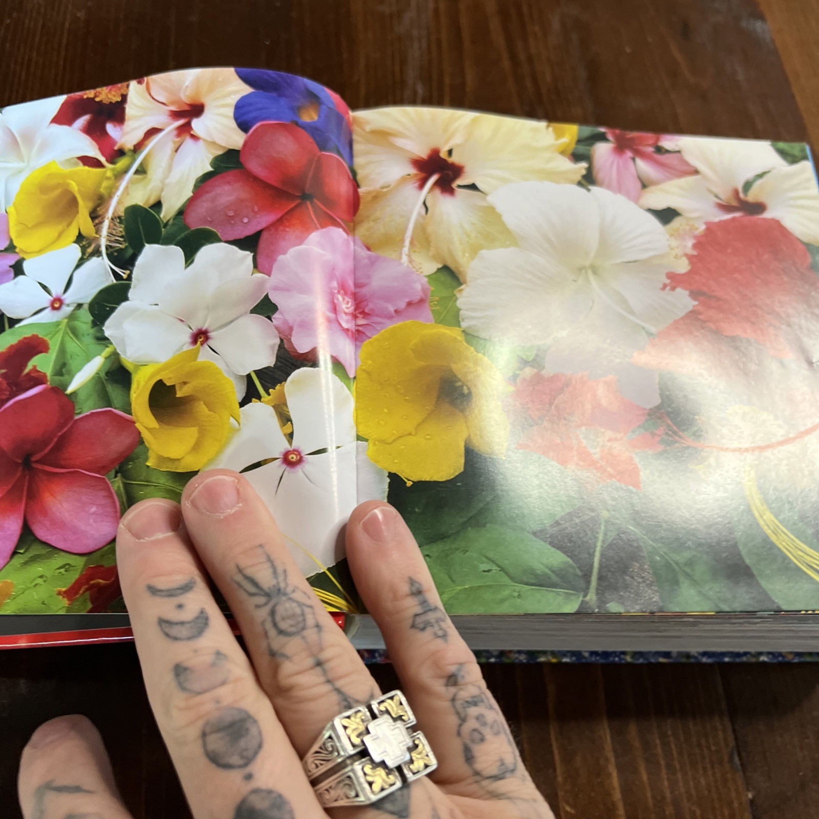 Flowers Cube book Valeria Manferto De Fabianis Hardback 736 pages