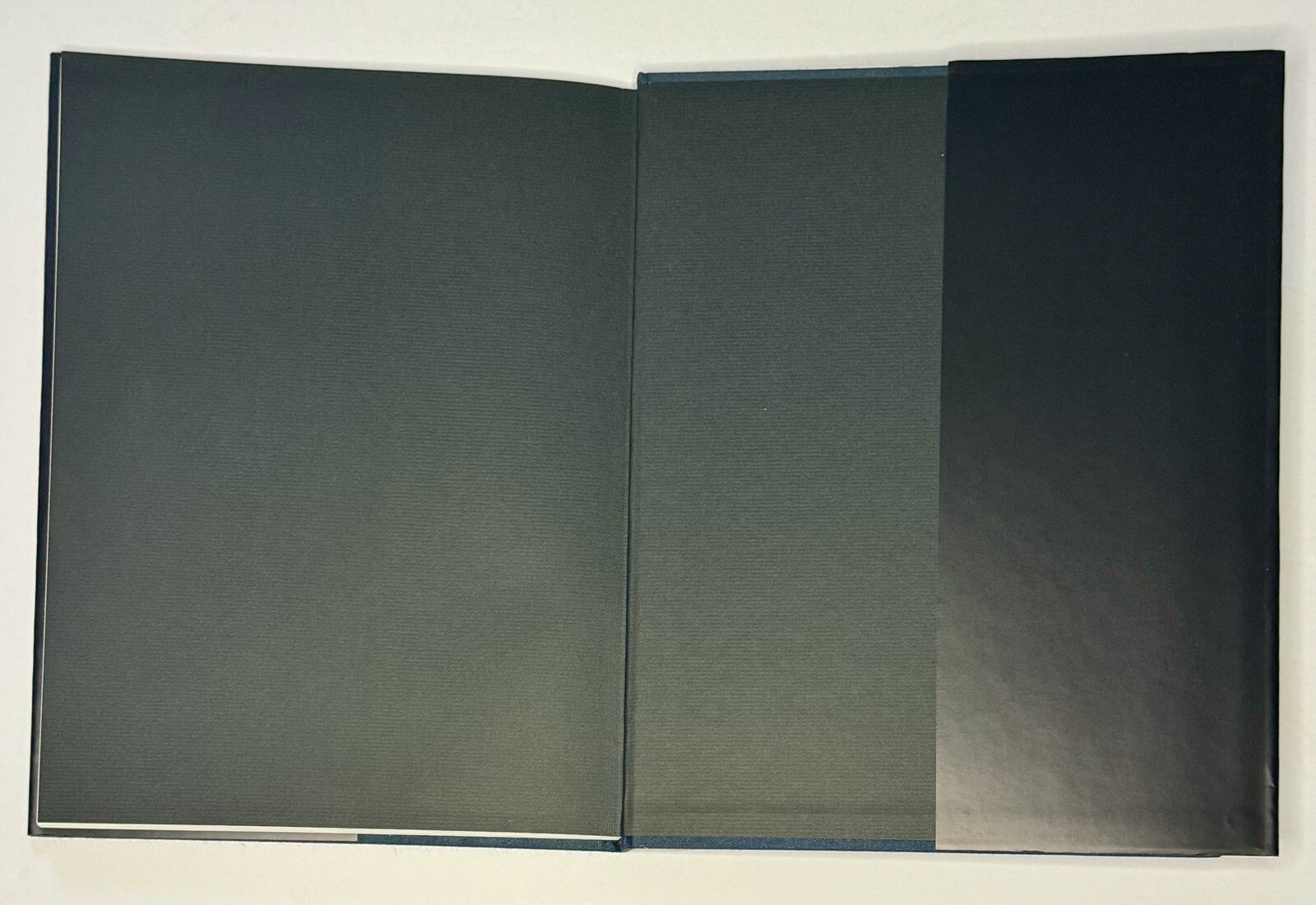 Sleeping Beauty | Stanley B.Burns | 2nd Edition | Twelvetrees Press | 1990